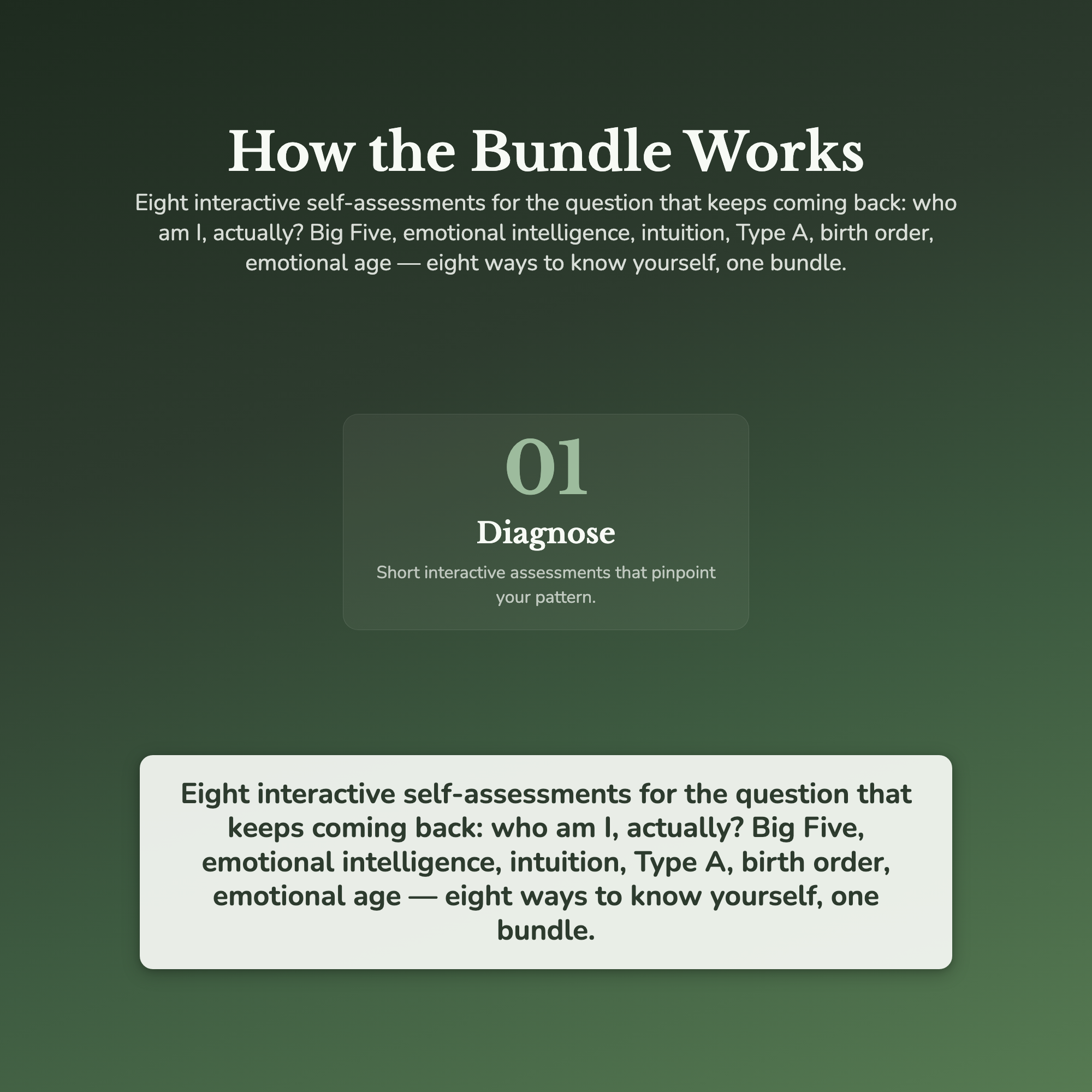 Personality Profile Bundle – Big Five EQ Emotional Age 8 Tools – Interactive Digital Bundle