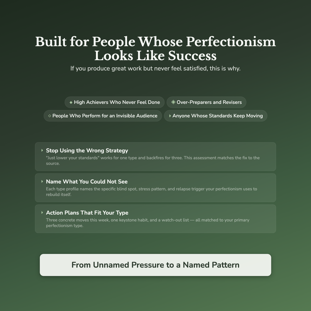 Perfectionism Profile — who this workbook is for