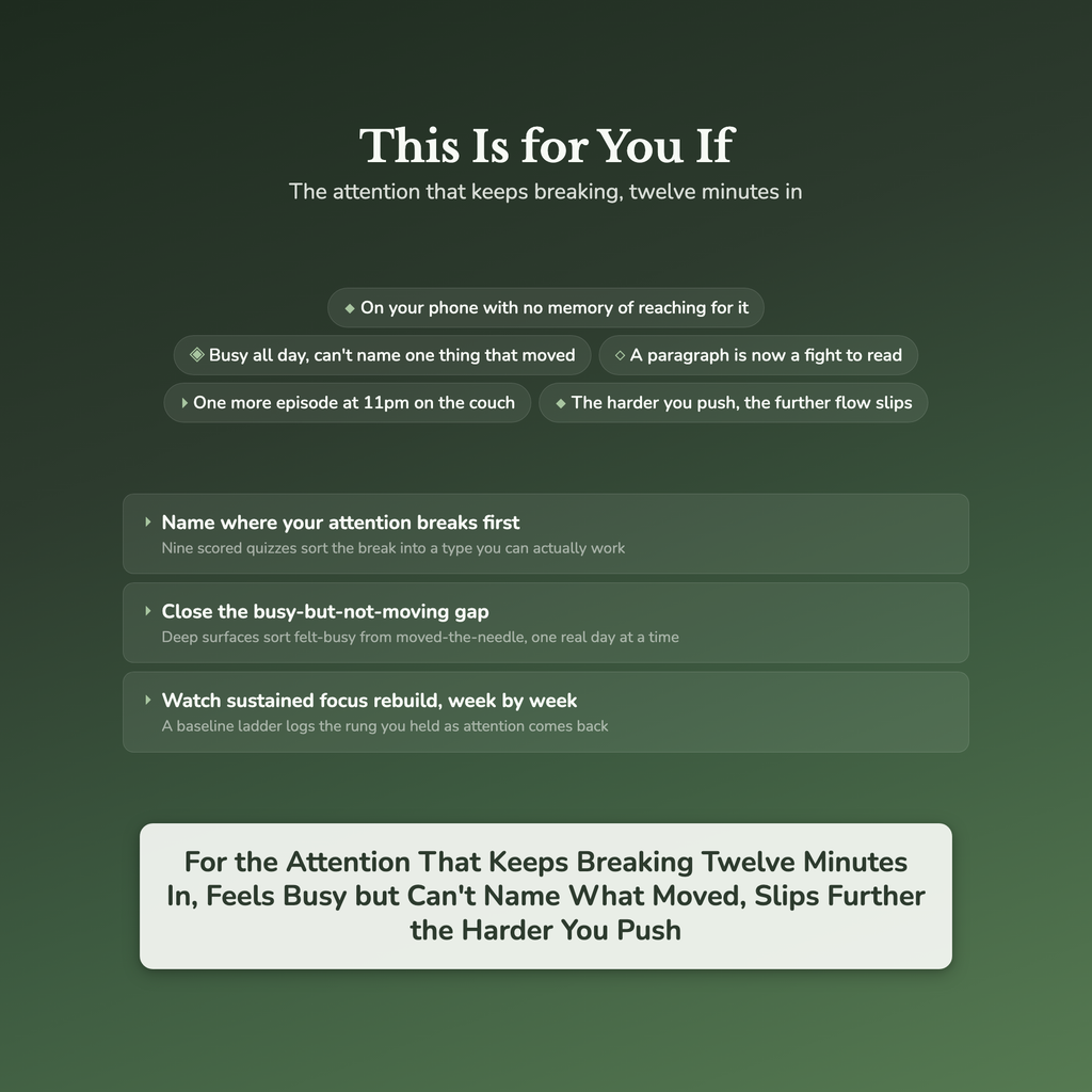 Focus & Distraction Worksheets – Beat Distraction, Flow State, Attention Span – Interactive Worksheets Bundle