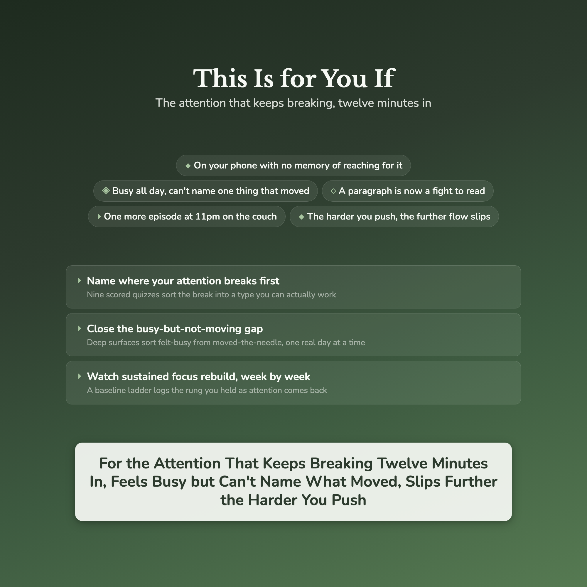 Focus & Distraction Worksheets – Beat Distraction, Flow State, Attention Span – Interactive Worksheets Bundle