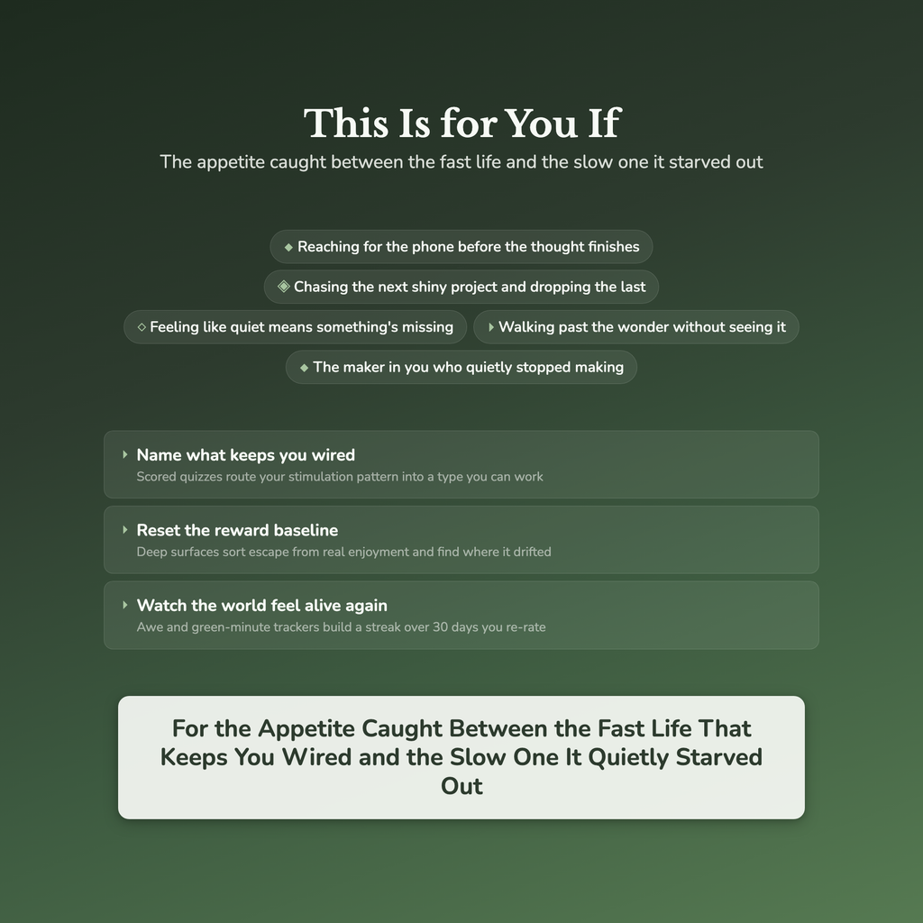 Dopamine Reset Worksheets – Overstimulation, Screen Habits, Slow Living, Boredom – Interactive Worksheets Bundle
