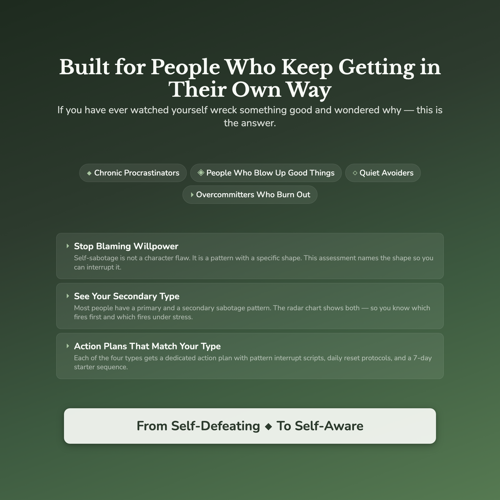 Self-Sabotage Profile — who this workbook is for