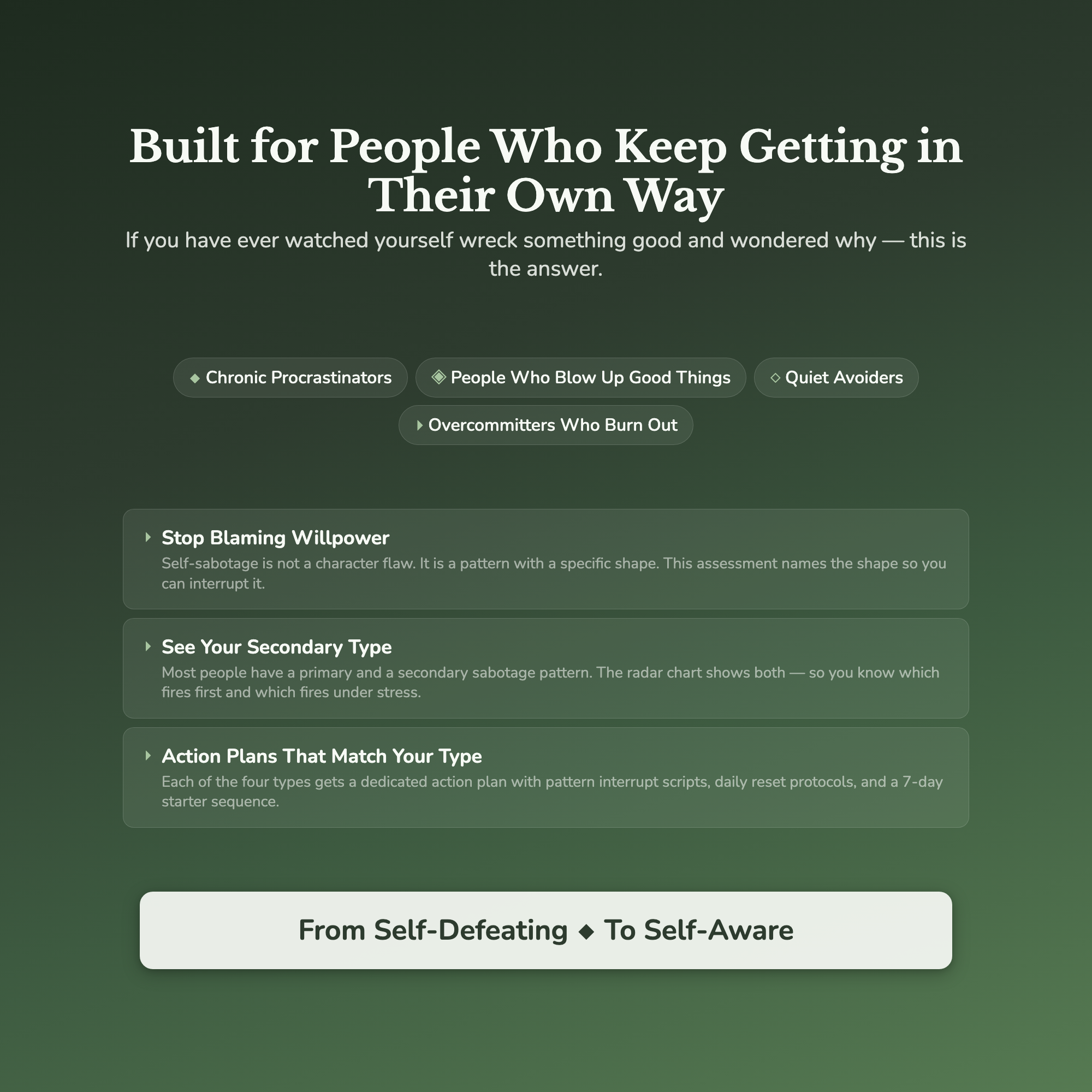 Self-Sabotage Profile — who this workbook is for
