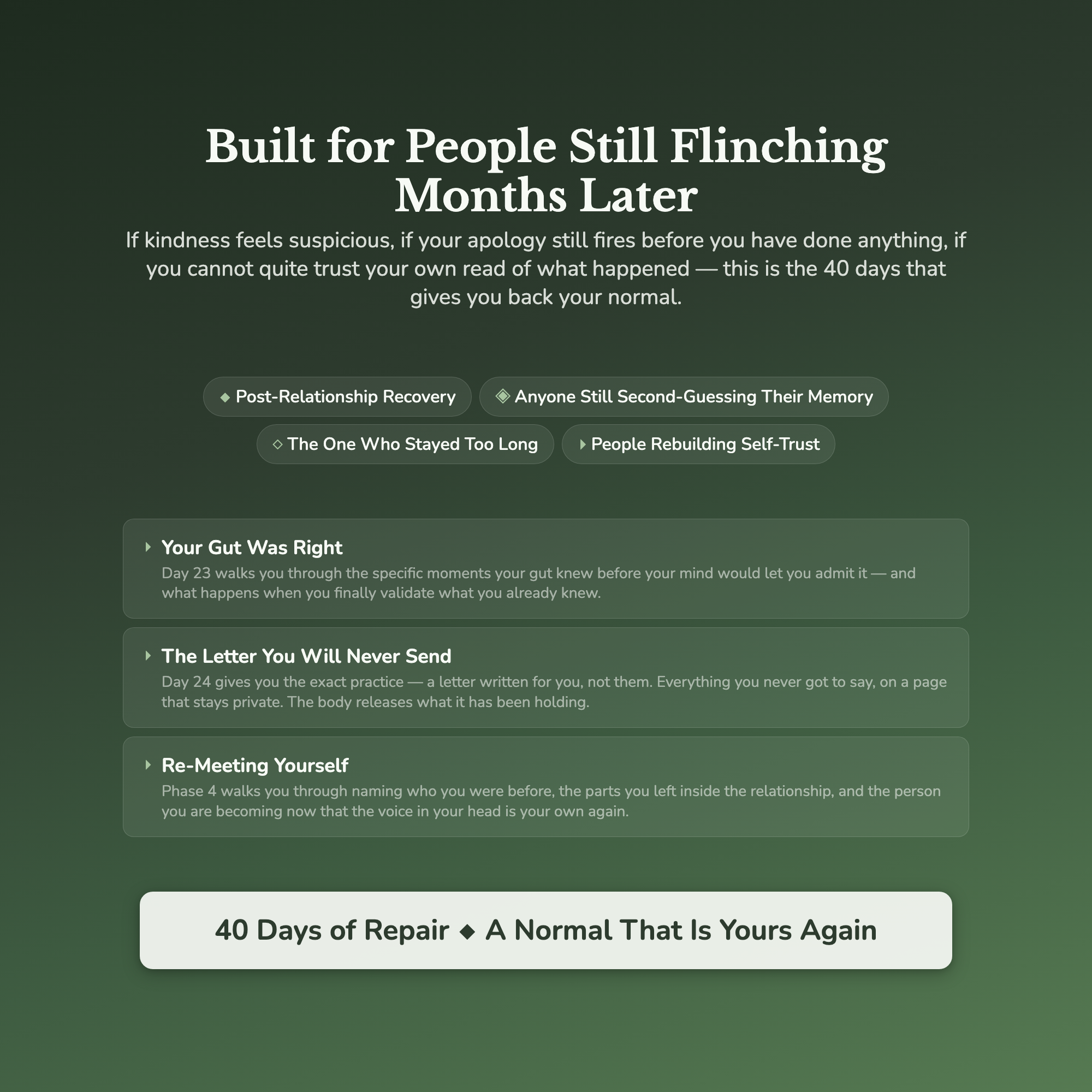 Toxic Relationship Recovery Workbook & 40-Day Guide — who this workbook is for