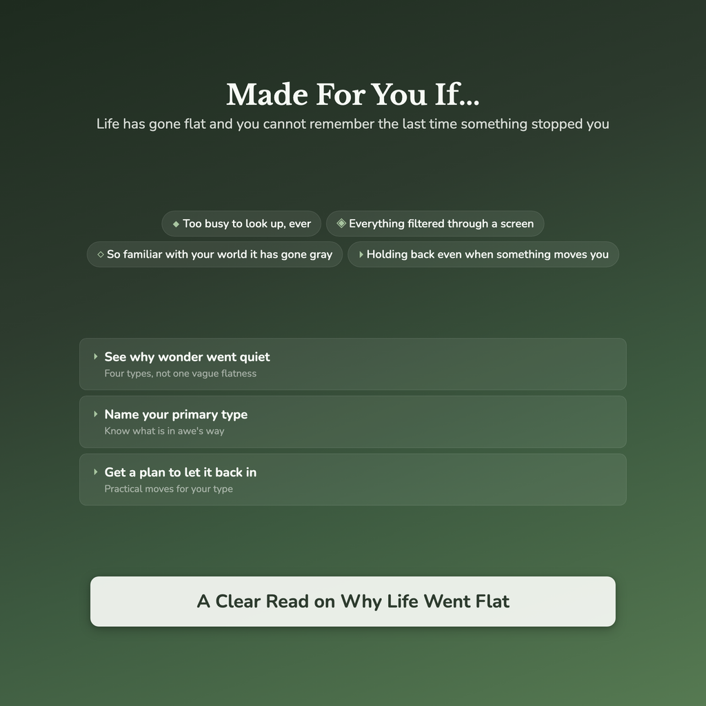 Wonder Quiz & Workbook – When Did You Last Feel Awe? – Interactive Self-Assessment