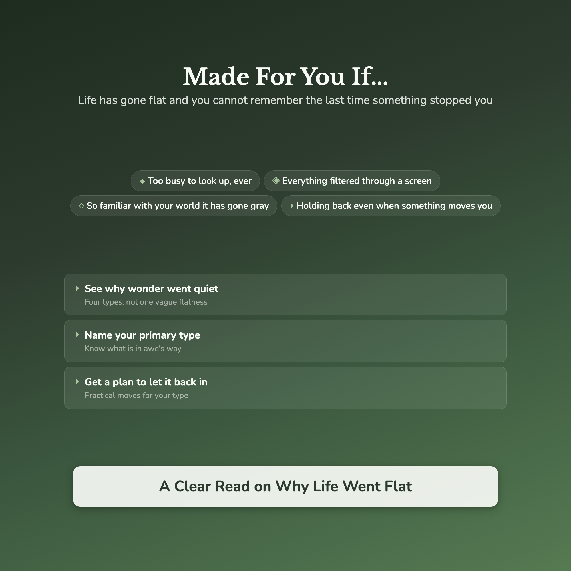 Wonder Quiz & Workbook – When Did You Last Feel Awe? – Interactive Self-Assessment