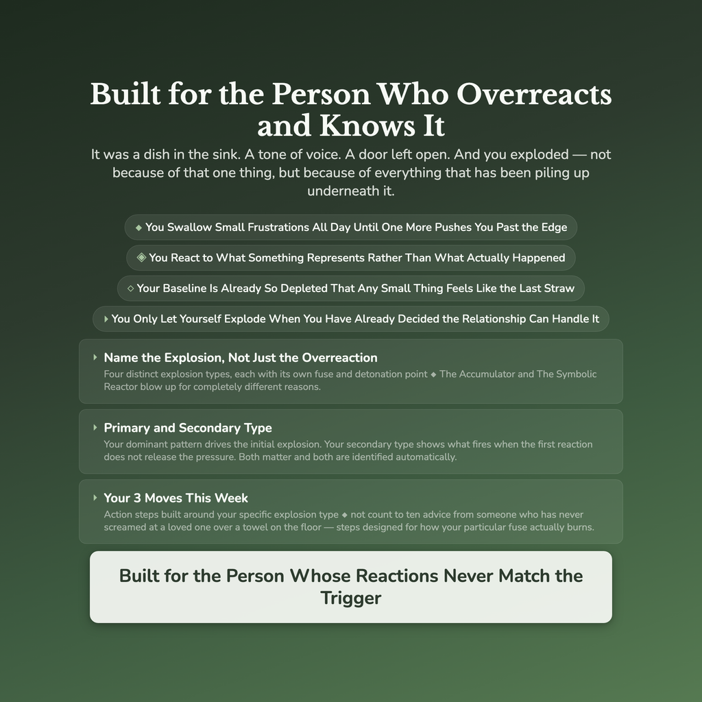 Emotional Explosion Profile — who this workbook is for