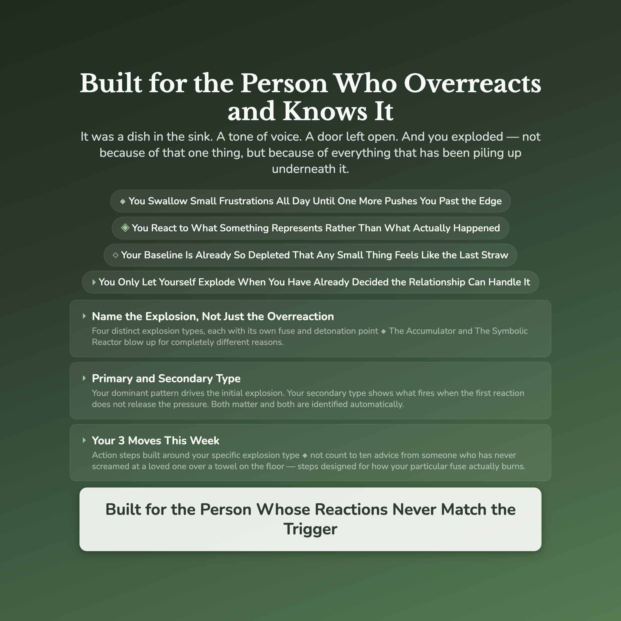 Emotional Explosion Profile — who this workbook is for