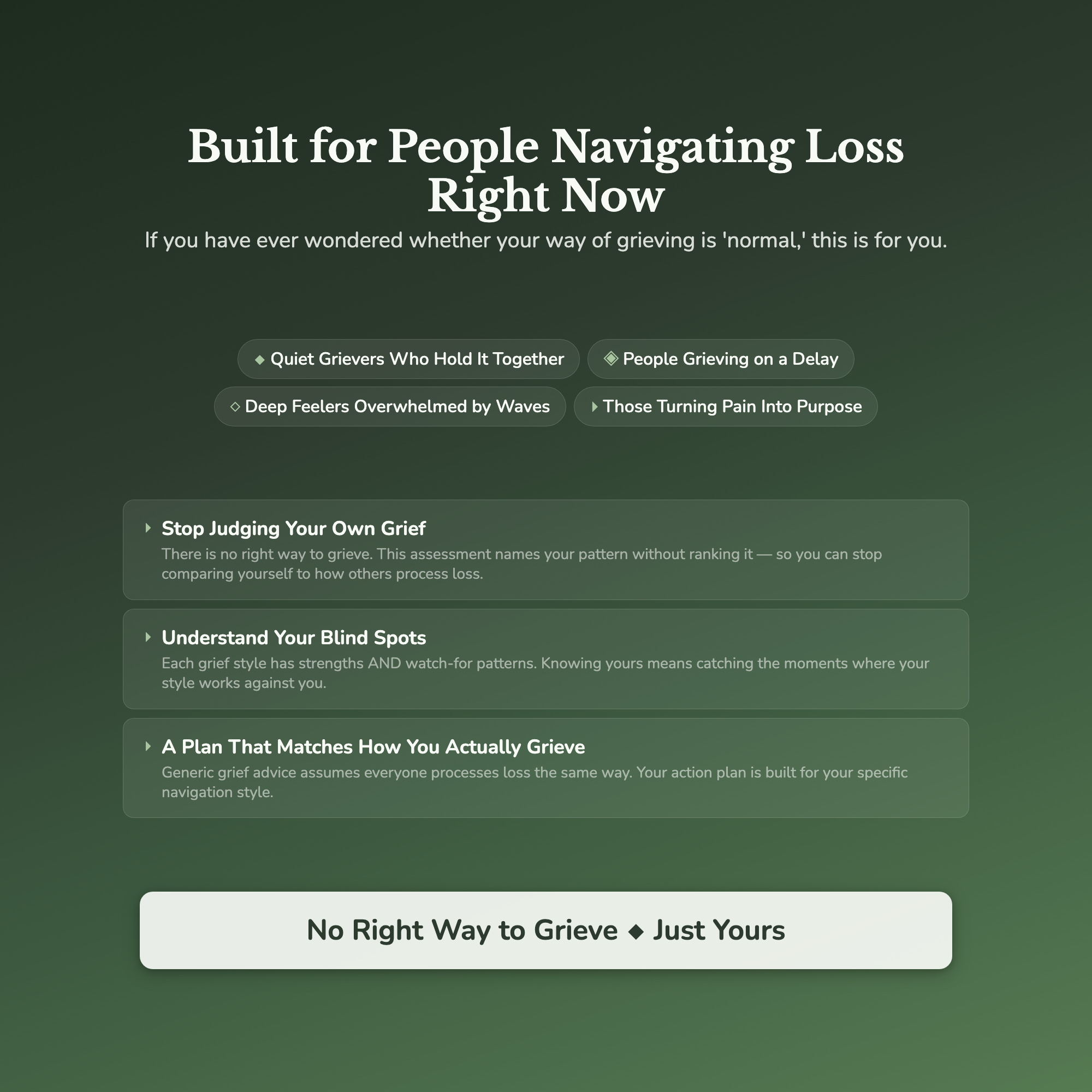 Grief Navigation Profile — who this workbook is for