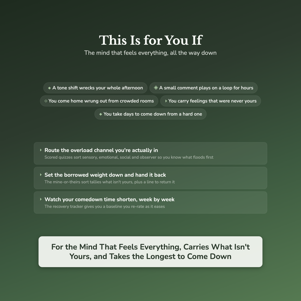 Highly Sensitive Person Worksheets – Overstimulation, Feeling Too Much, HSP, Empath – Interactive Worksheets Bundle