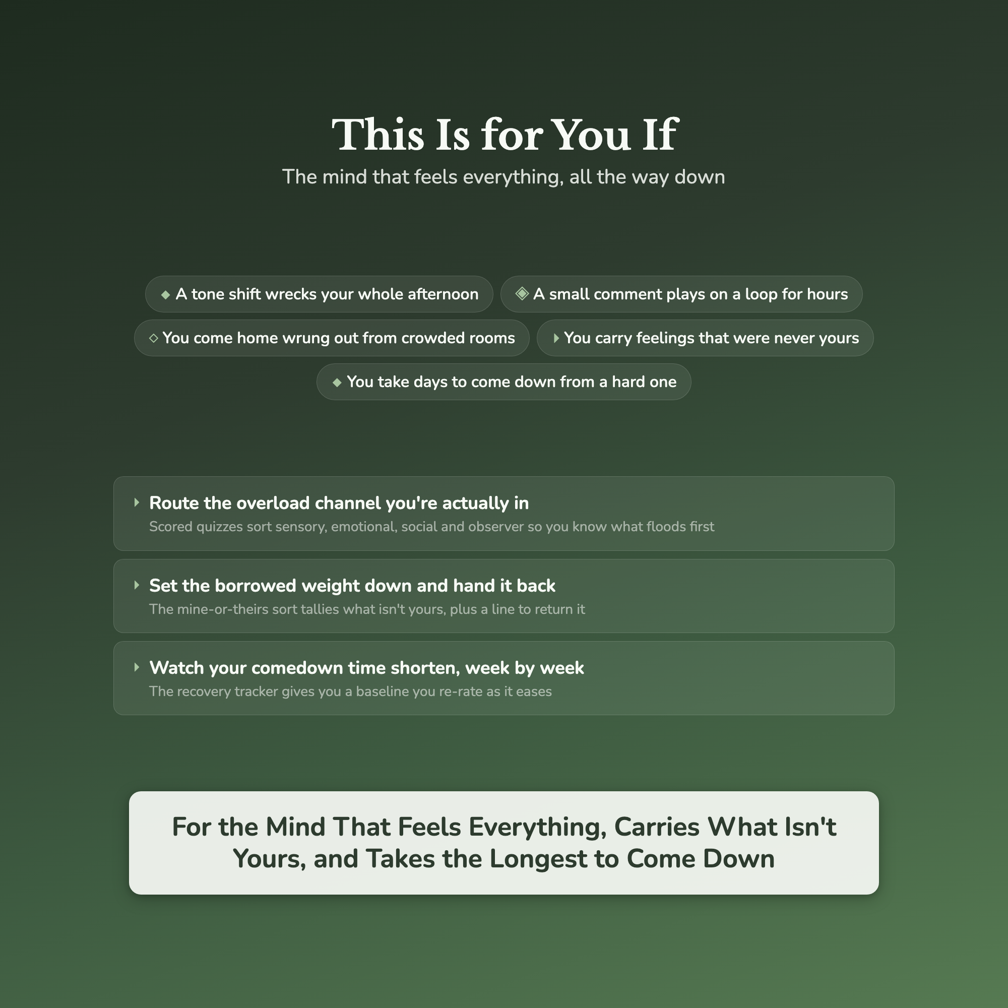 Highly Sensitive Person Worksheets – Overstimulation, Feeling Too Much, HSP, Empath – Interactive Worksheets Bundle