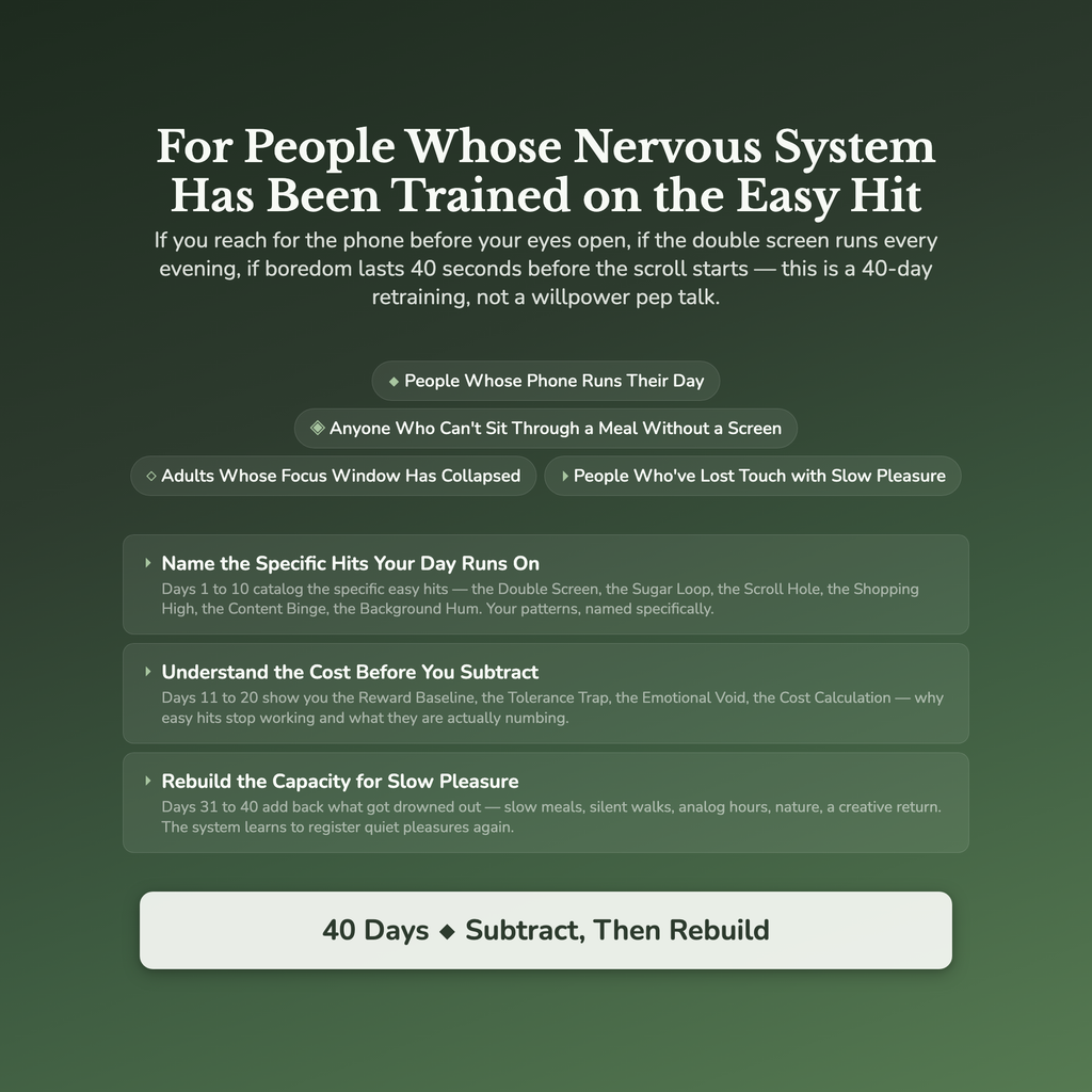 Dopamine Reset Workbook & 40-Day Guide — who this workbook is for