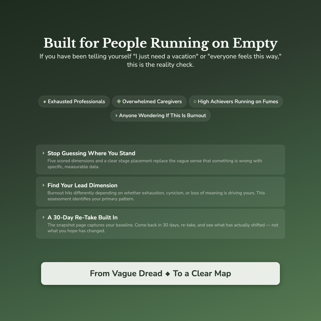 Burnout Risk Profile — who this workbook is for