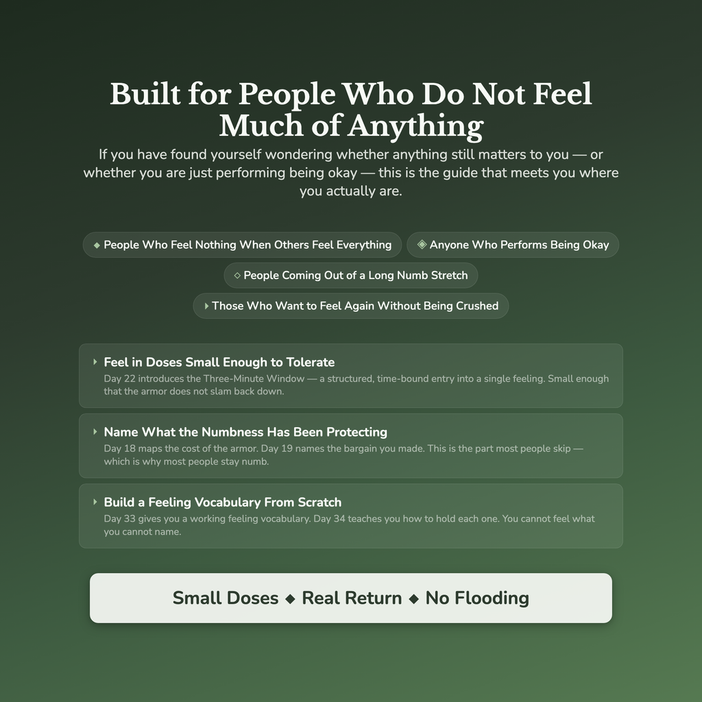 Emotional Numbness Workbook & 40-Day Guide — who this workbook is for
