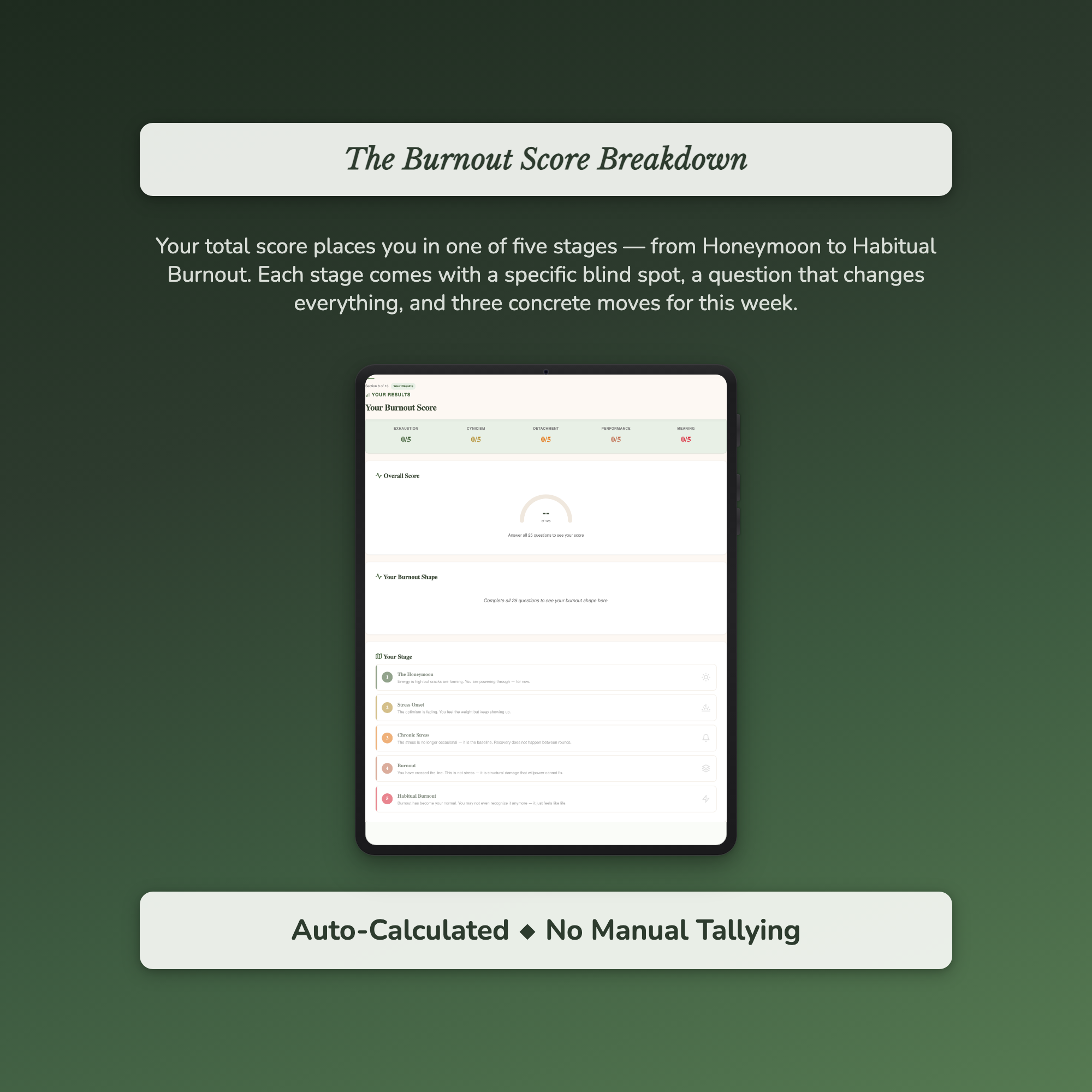 Burnout Risk Profile — sample interactive page
