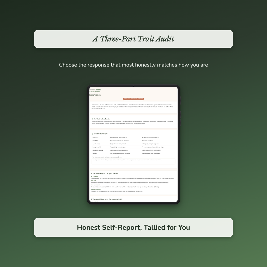 Big Five Quiz & Workbook – Your Five-Trait Profile – Interactive Self-Assessment