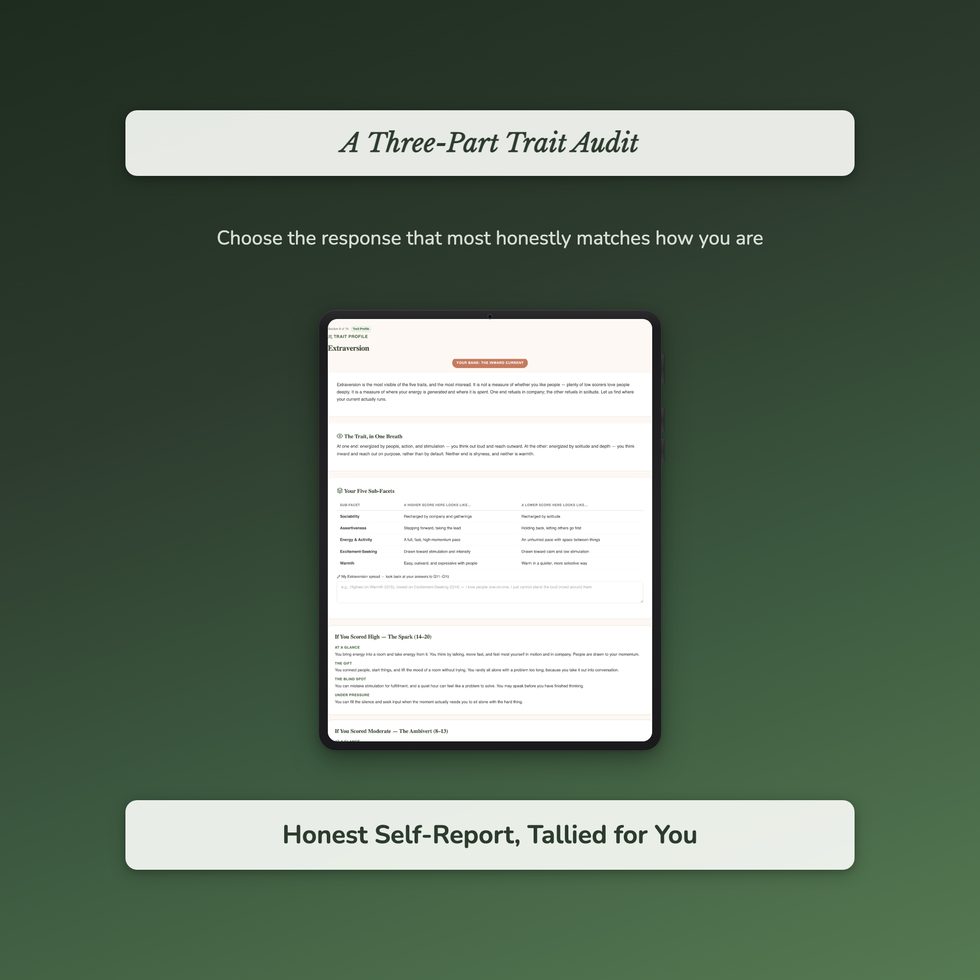Big Five Quiz & Workbook – Your Five-Trait Profile – Interactive Self-Assessment