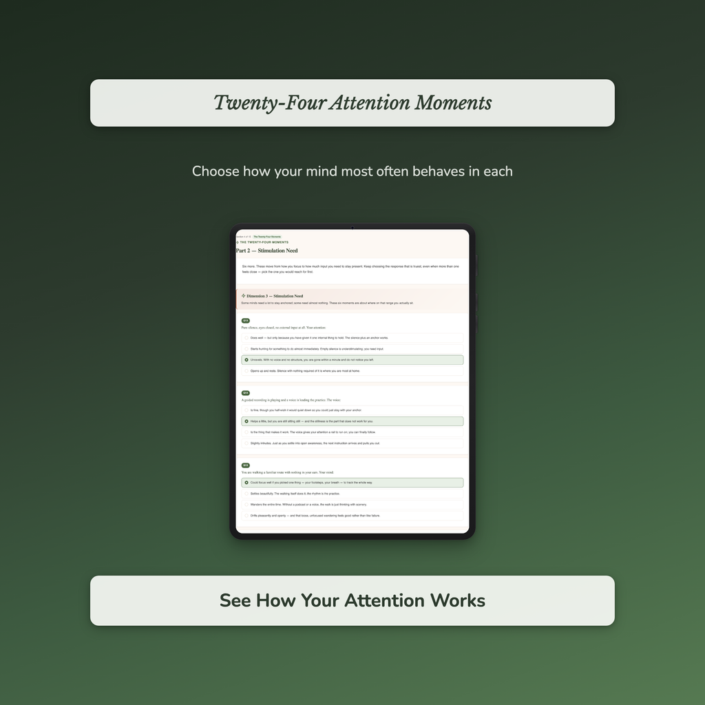 Meditation Style Quiz & Workbook – Why It Never Sticks – Interactive Self-Assessment