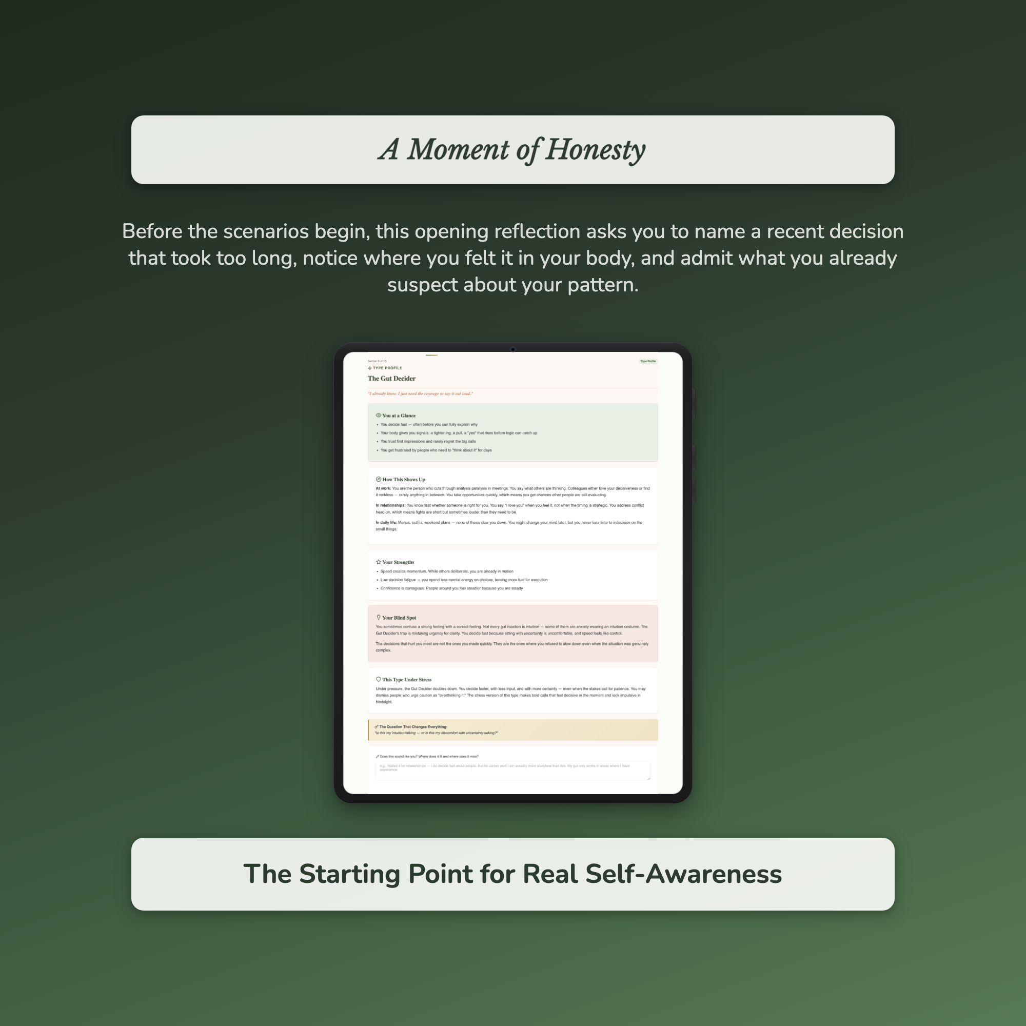 Decision-Making Profile — sample interactive page