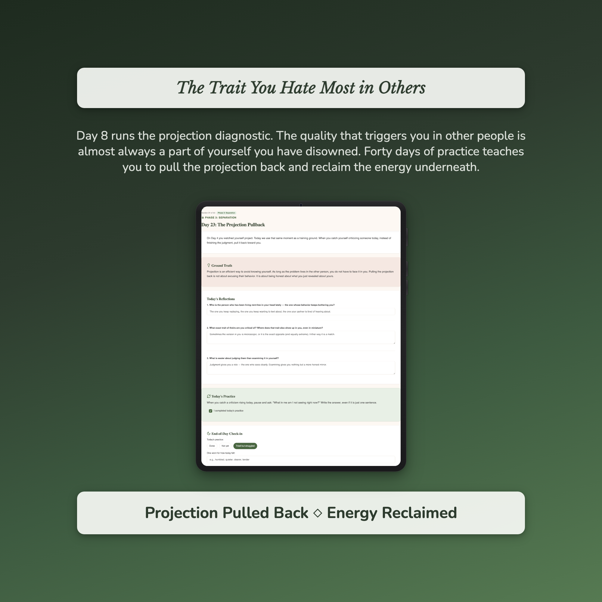 Shadow Work Workbook & 40-Day Guide — sample interactive page