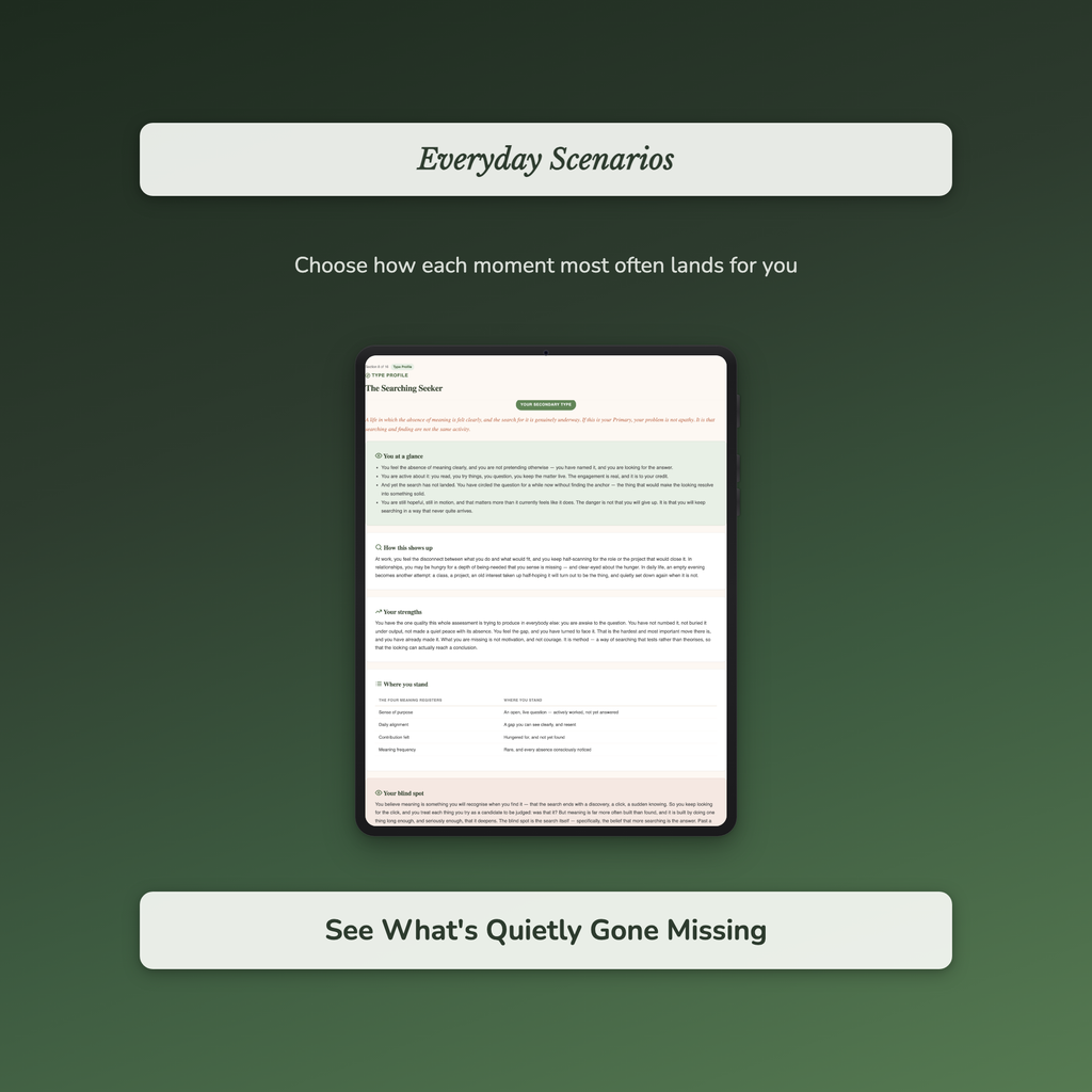 Meaning Quiz & Workbook – Is This Really All There Is? – Interactive Self-Assessment