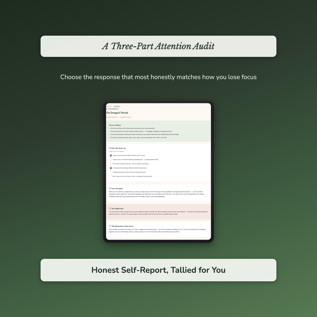 Focus Quiz & Workbook – What's Breaking Your Focus? – Interactive Self-Assessment