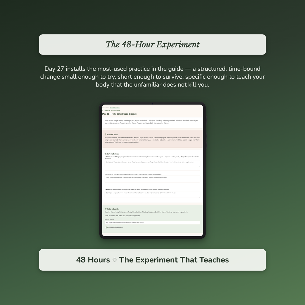 Fear of Change Workbook & 40-Day Guide — sample interactive page