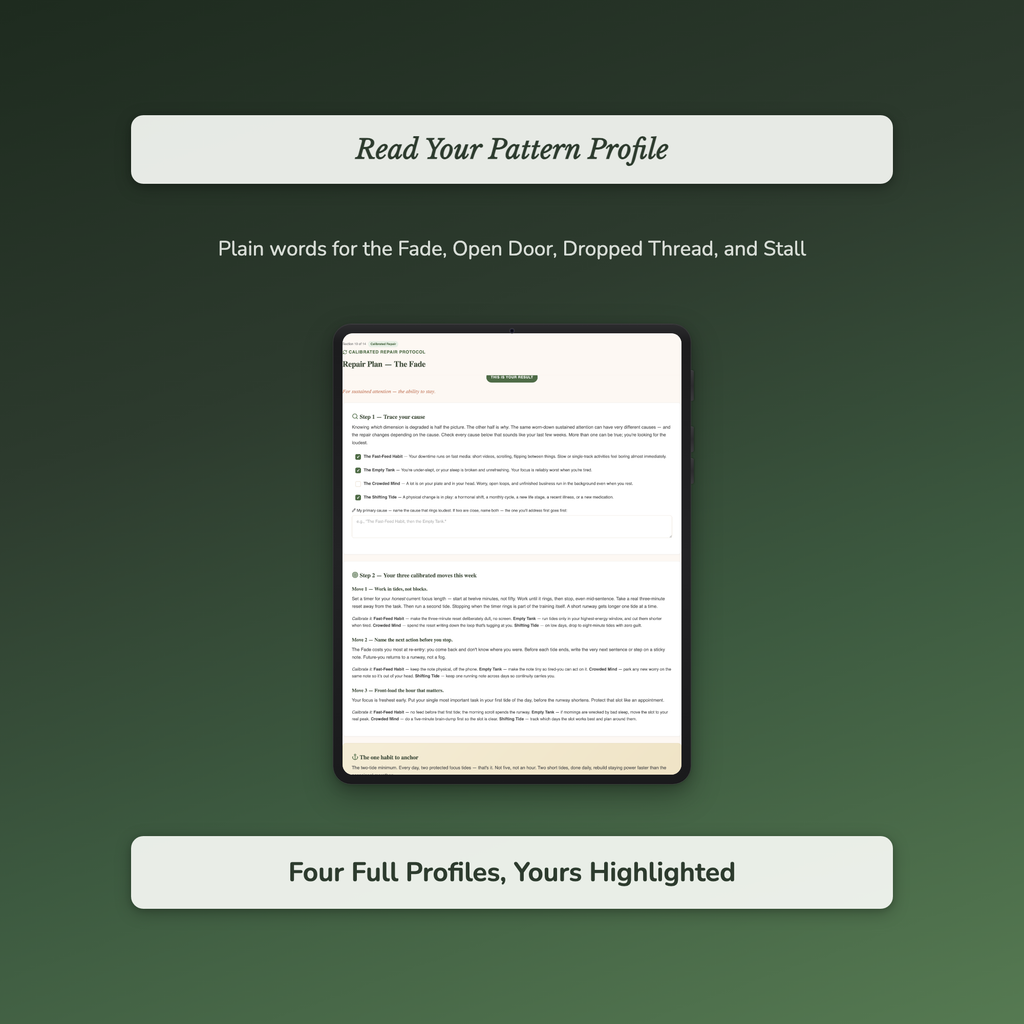 Focus Quiz & Workbook – What's Breaking Your Focus? – Interactive Self-Assessment
