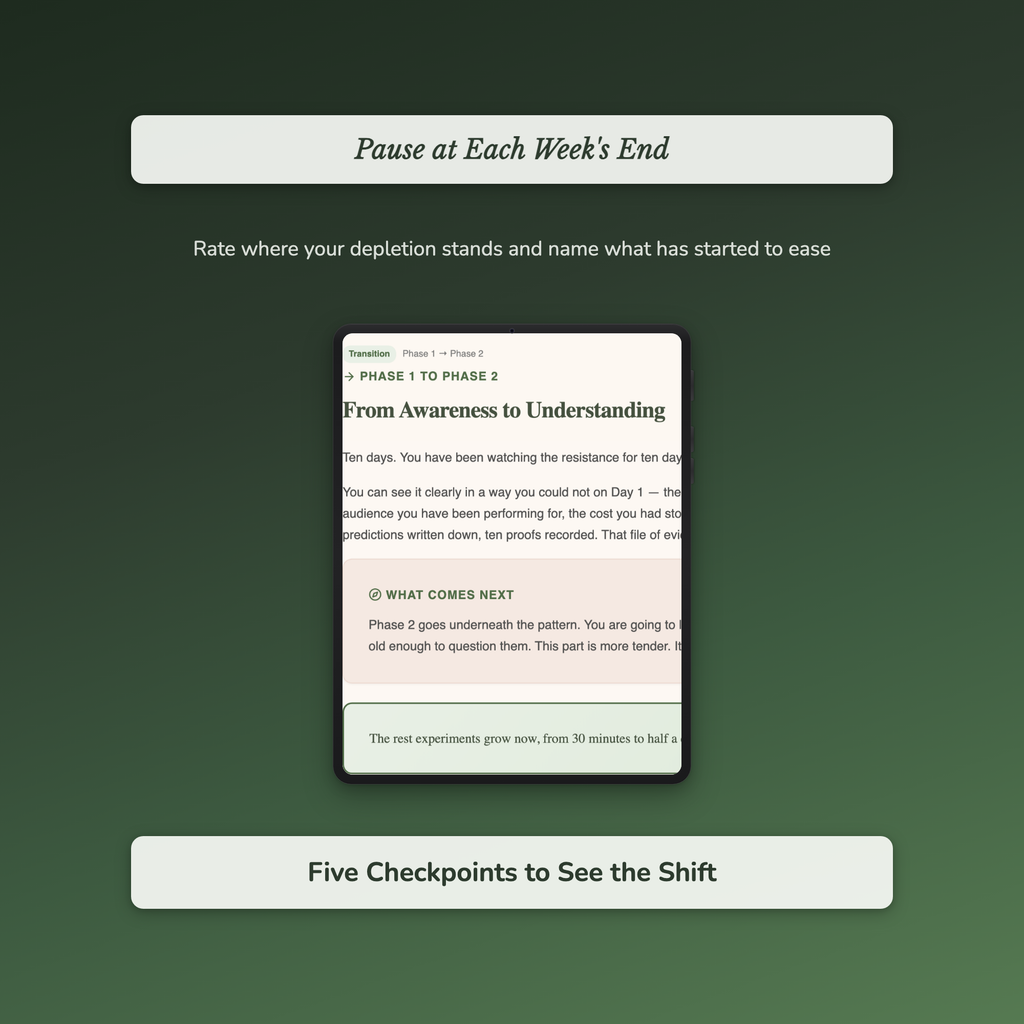 Burnout Workbook & 40-Day Journal – For the High-Functioning – Interactive Digital Guide