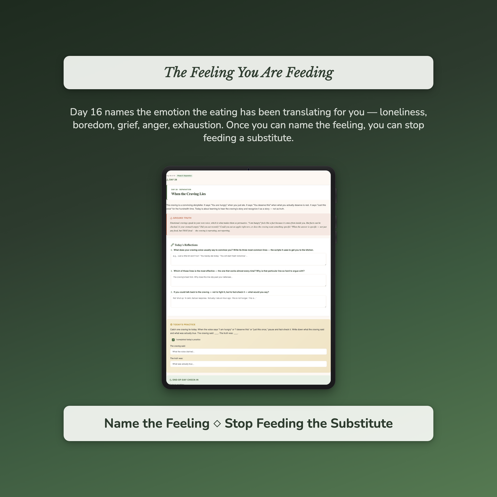 Emotional Eating Workbook & 40-Day Guide — sample auto-scoring quiz