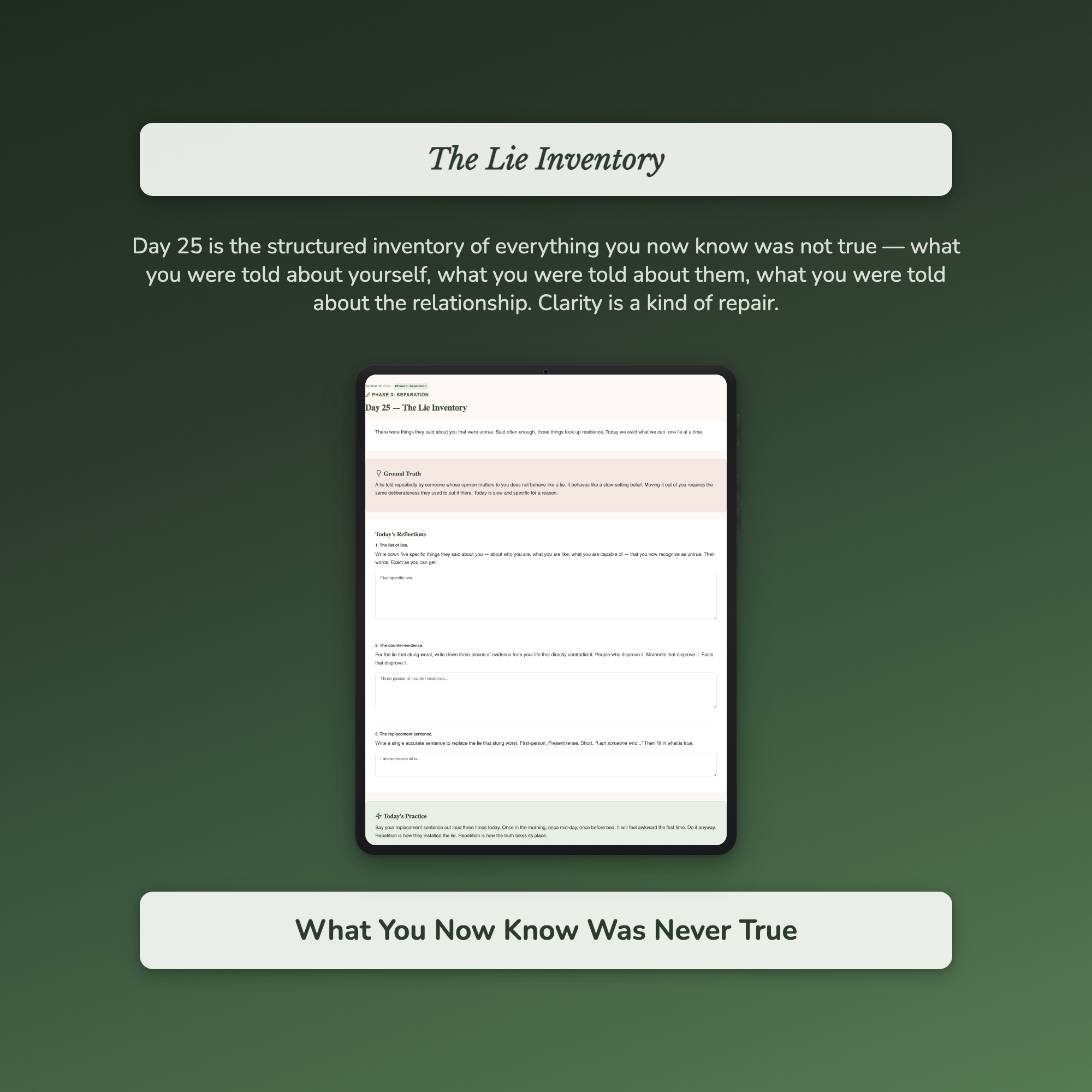 Toxic Relationship Recovery Workbook & 40-Day Guide — sample auto-scoring quiz