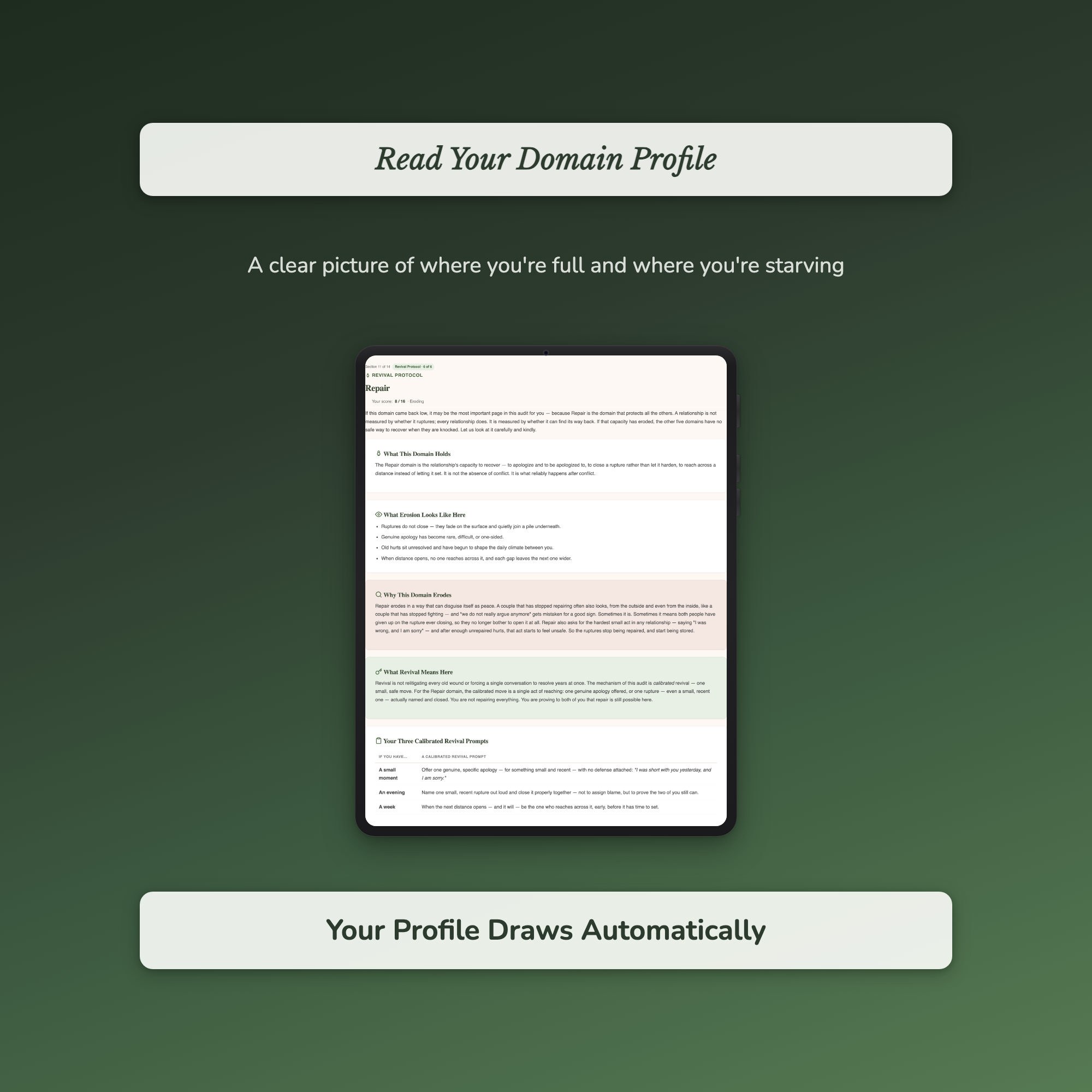 Relationship Audit Quiz & Workbook – What's Off Between Us? – Interactive Self-Assessment