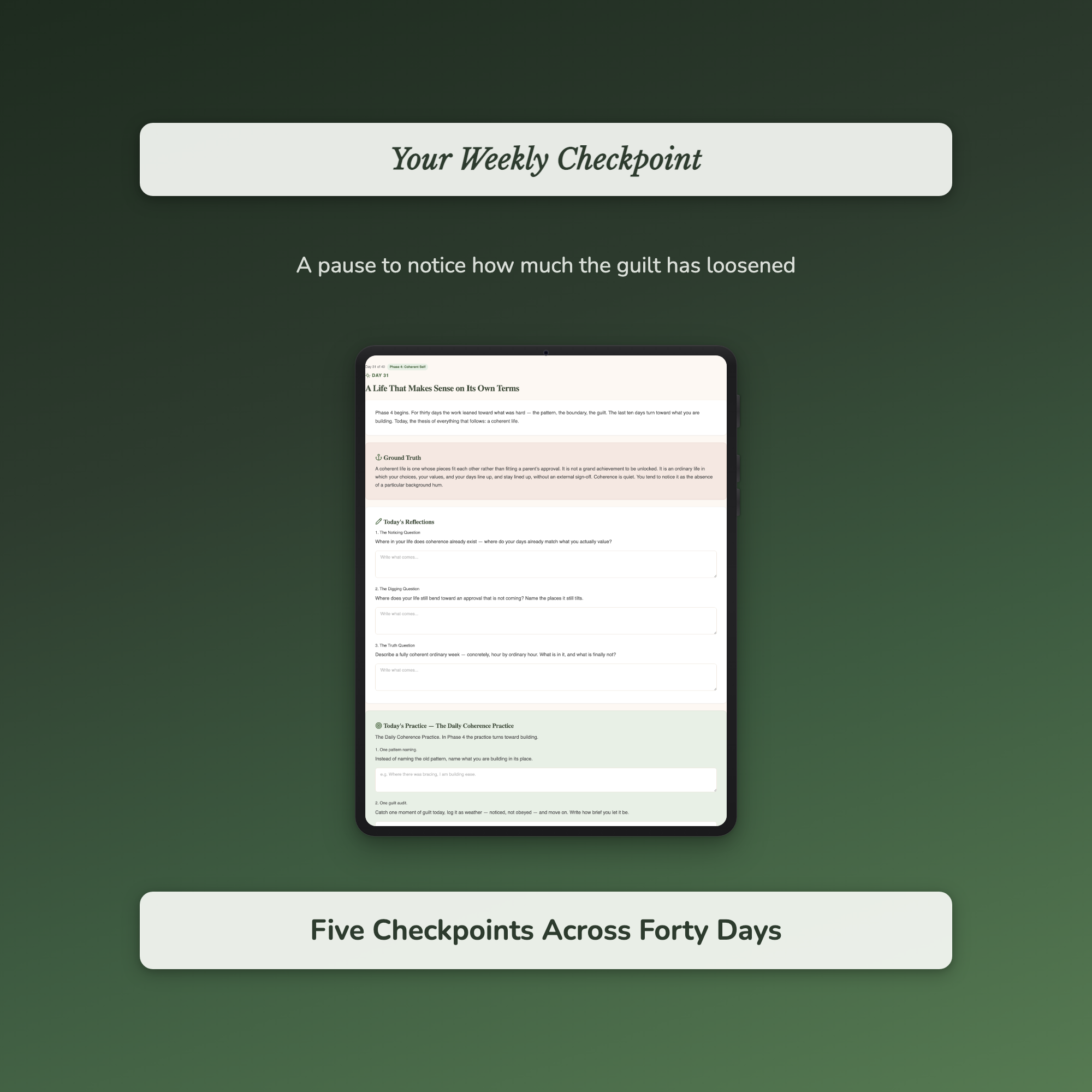 Estrangement Workbook & 40-Day Journal – Adult Child Edition – Interactive Digital Guide
