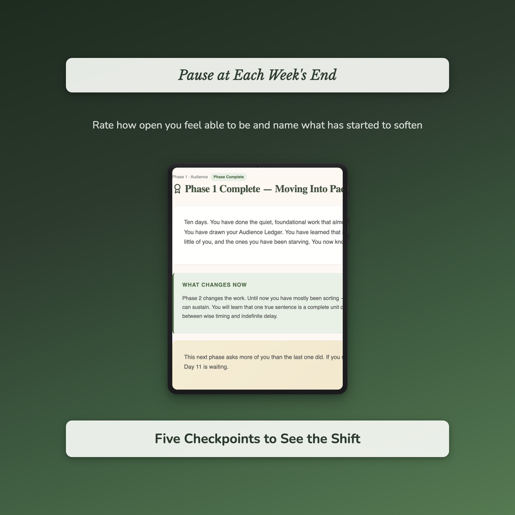 Vulnerability Workbook & 40-Day Journal – Open Without Cost – Interactive Digital Guide