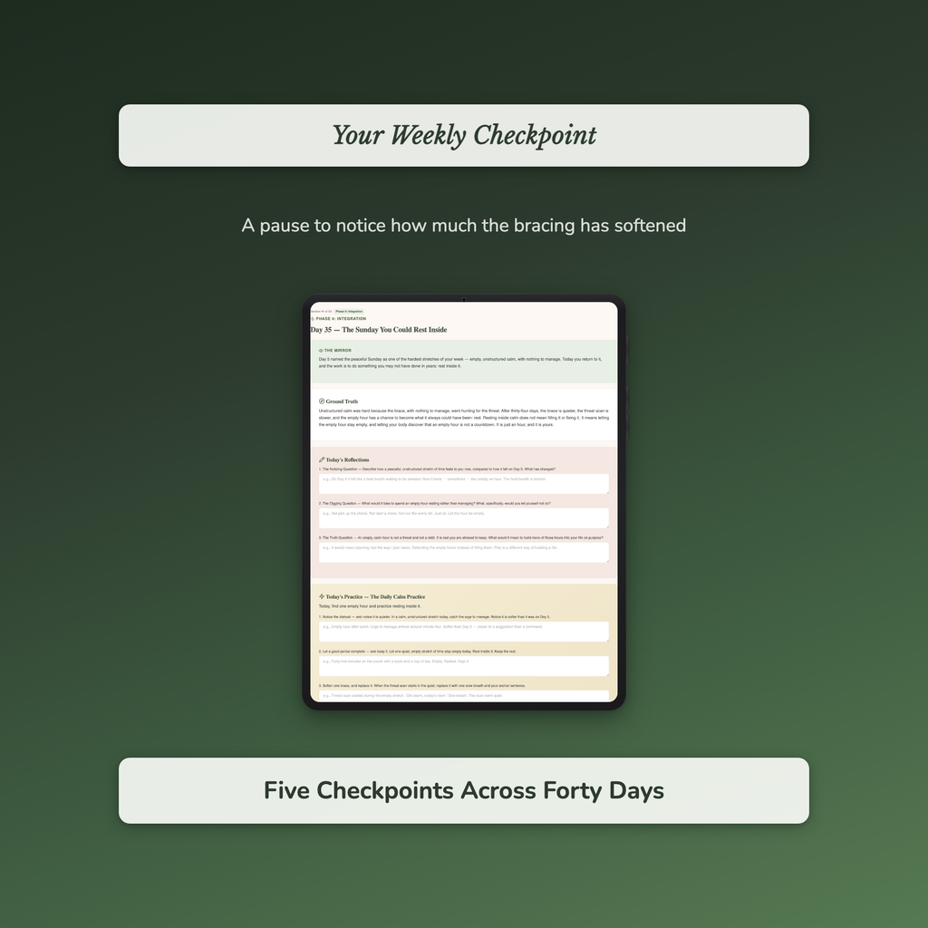 Trust Issues Workbook & 40-Day Journal – When Good Feels Wrong – Interactive Digital Guide