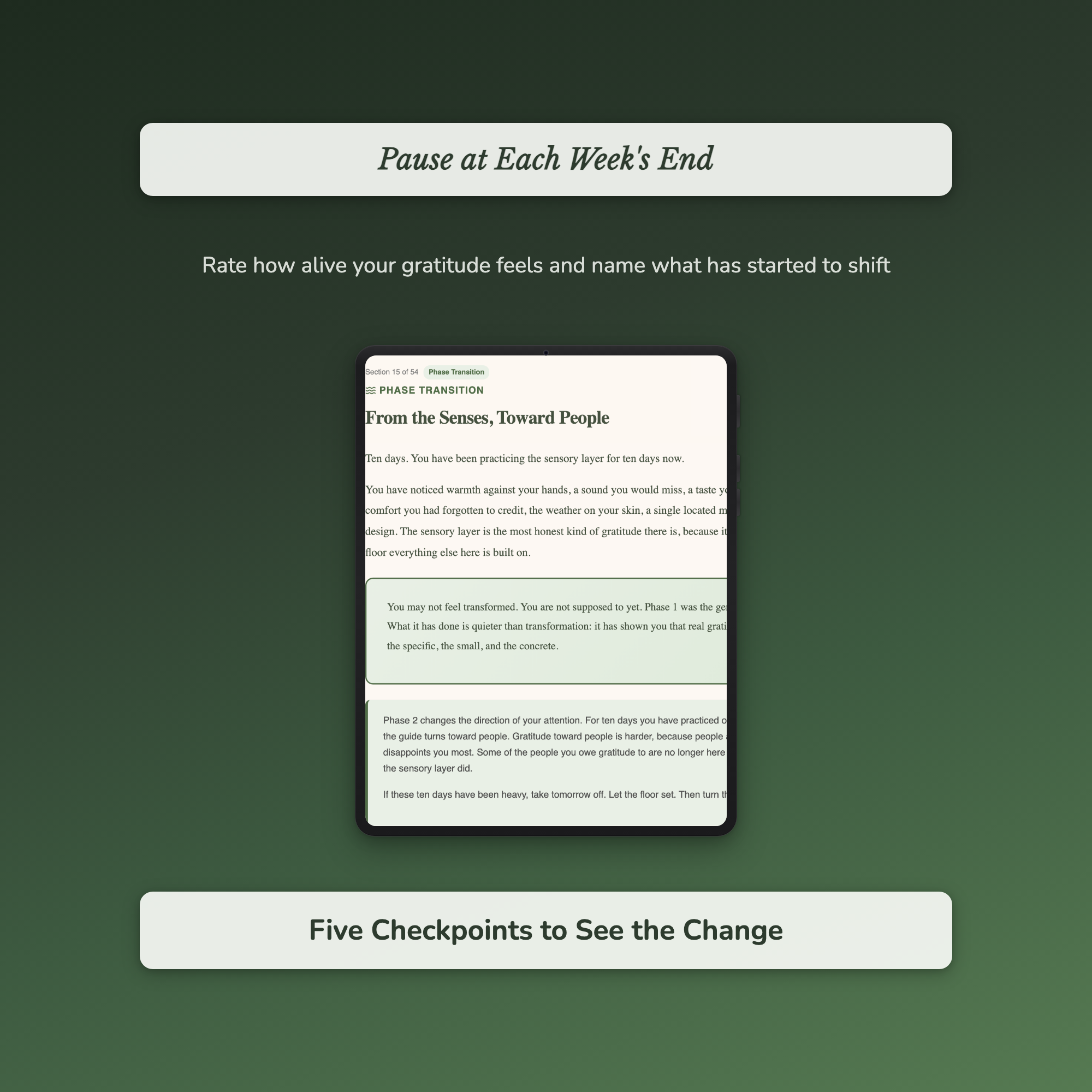 Gratitude Workbook & 40-Day Journal – Daily Gratitude Practice – Interactive Digital Guide