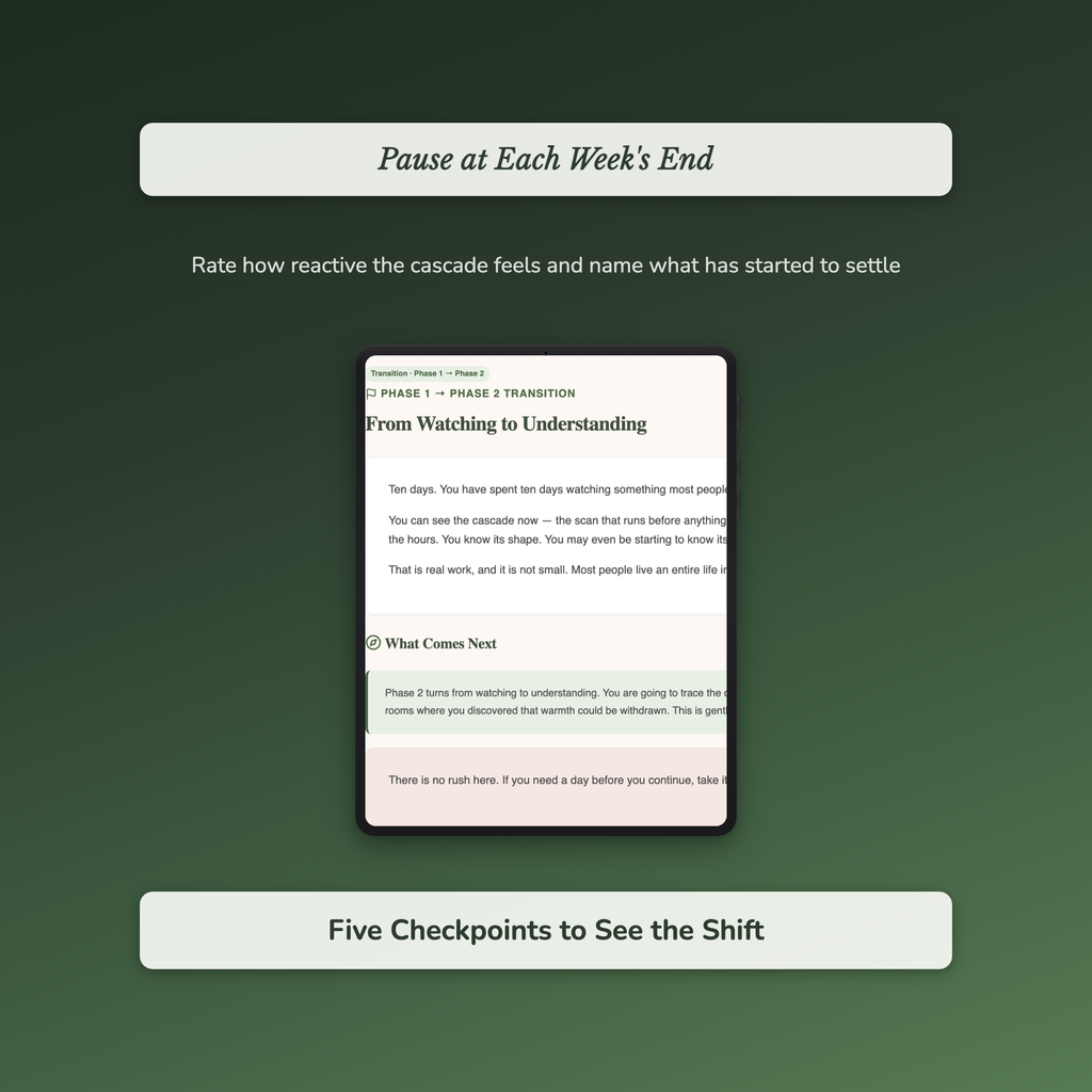 Rejection Workbook & 40-Day Journal – Steady the Cascade – Interactive Digital Guide