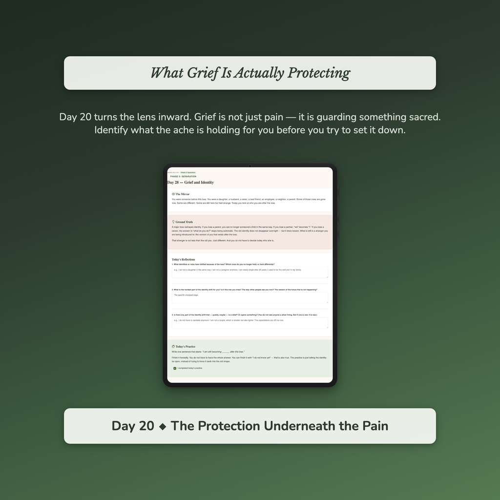 Grief Journal Workbook & 40-Day Guide — sample auto-scoring quiz