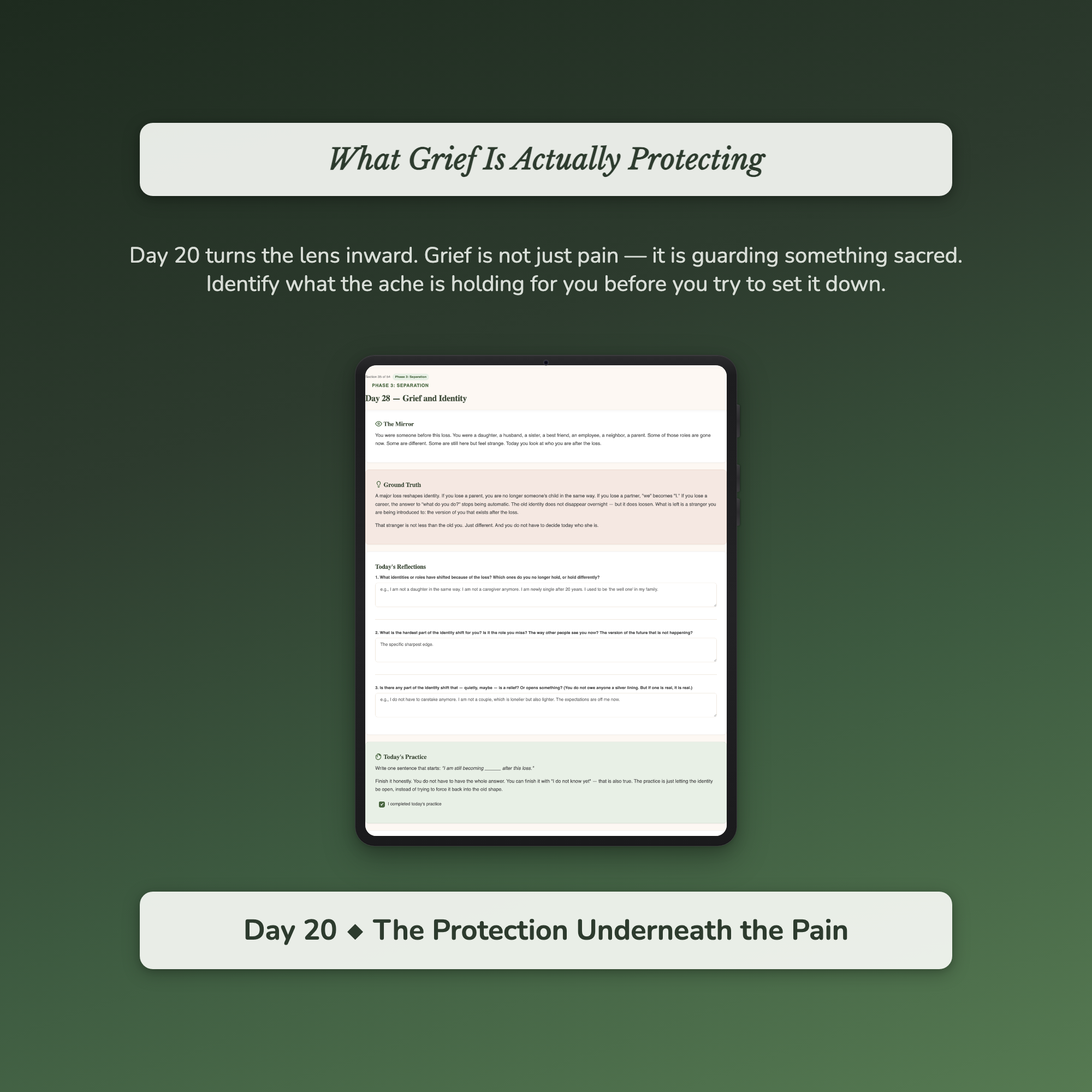 Grief Journal Workbook & 40-Day Guide — sample auto-scoring quiz