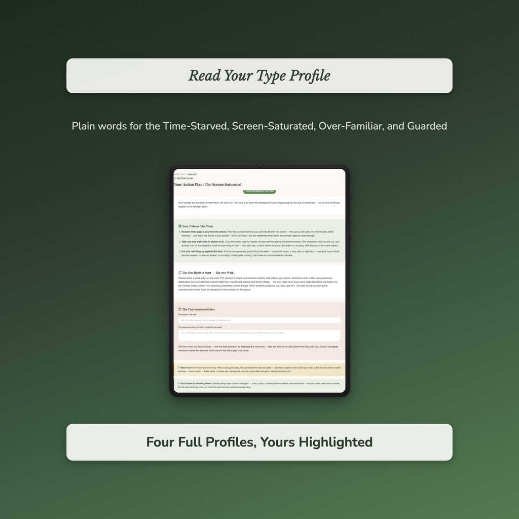 Wonder Quiz & Workbook – When Did You Last Feel Awe? – Interactive Self-Assessment