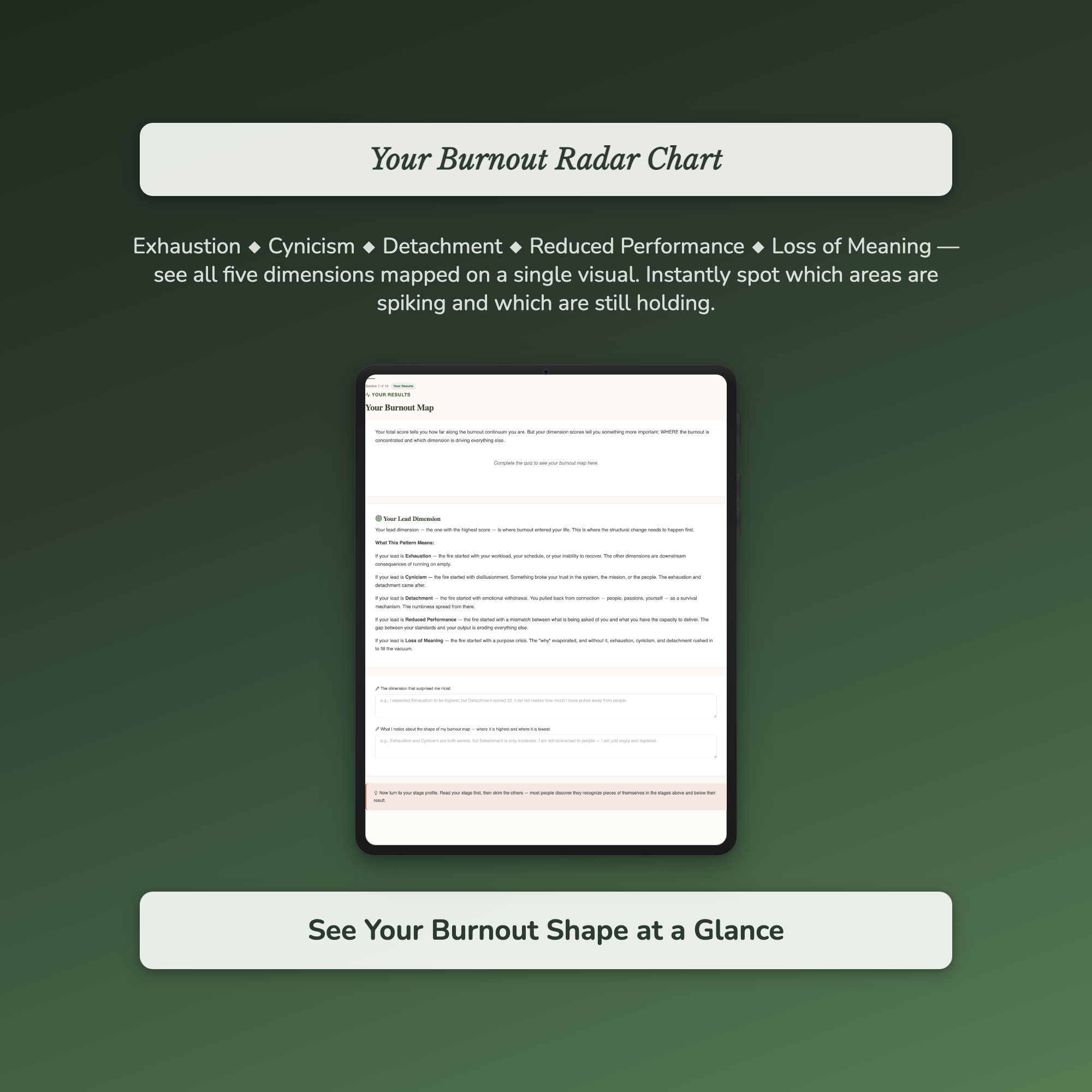 Burnout Risk Profile — sample auto-scoring quiz