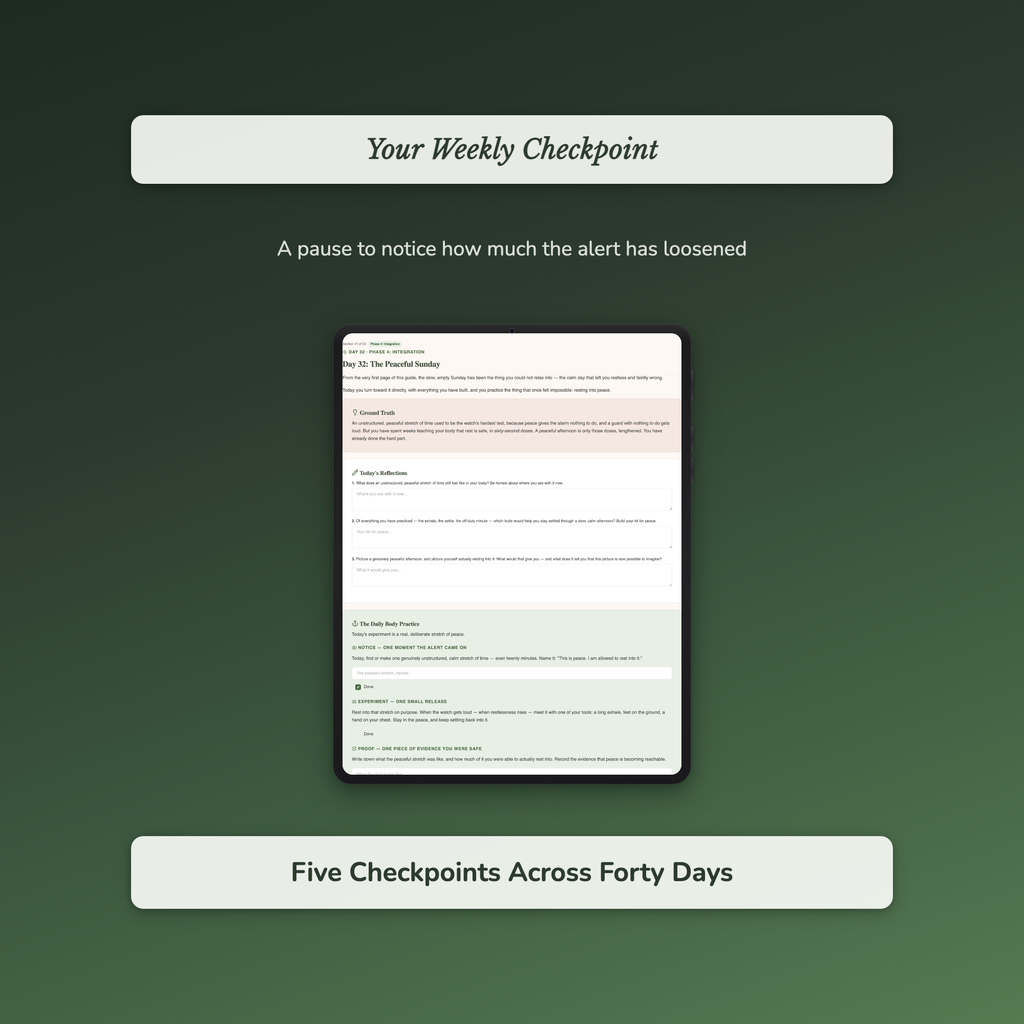 Nervous System Workbook & 40-Day Journal – Always On Edge – Interactive Digital Guide