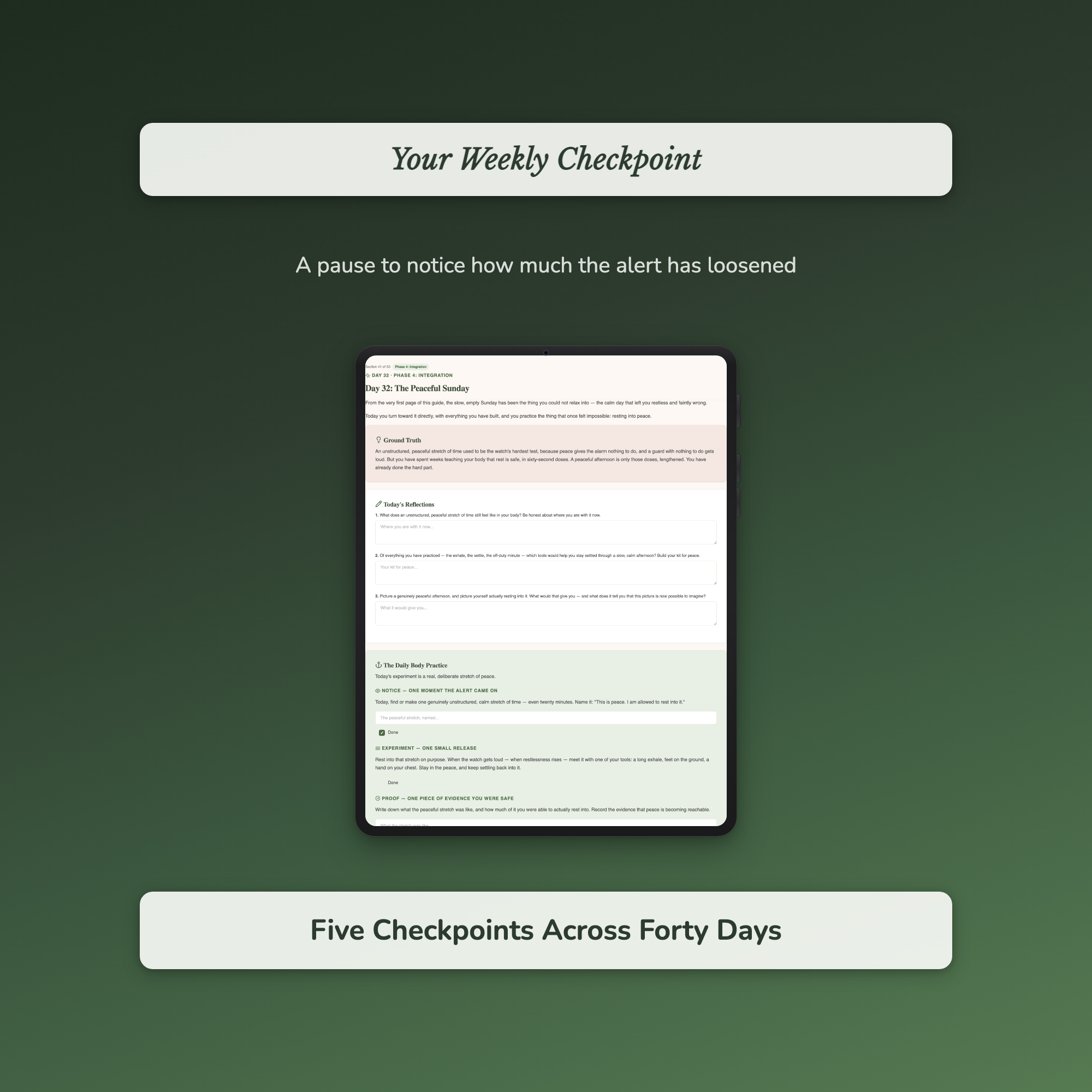 Nervous System Workbook & 40-Day Journal – Always On Edge – Interactive Digital Guide