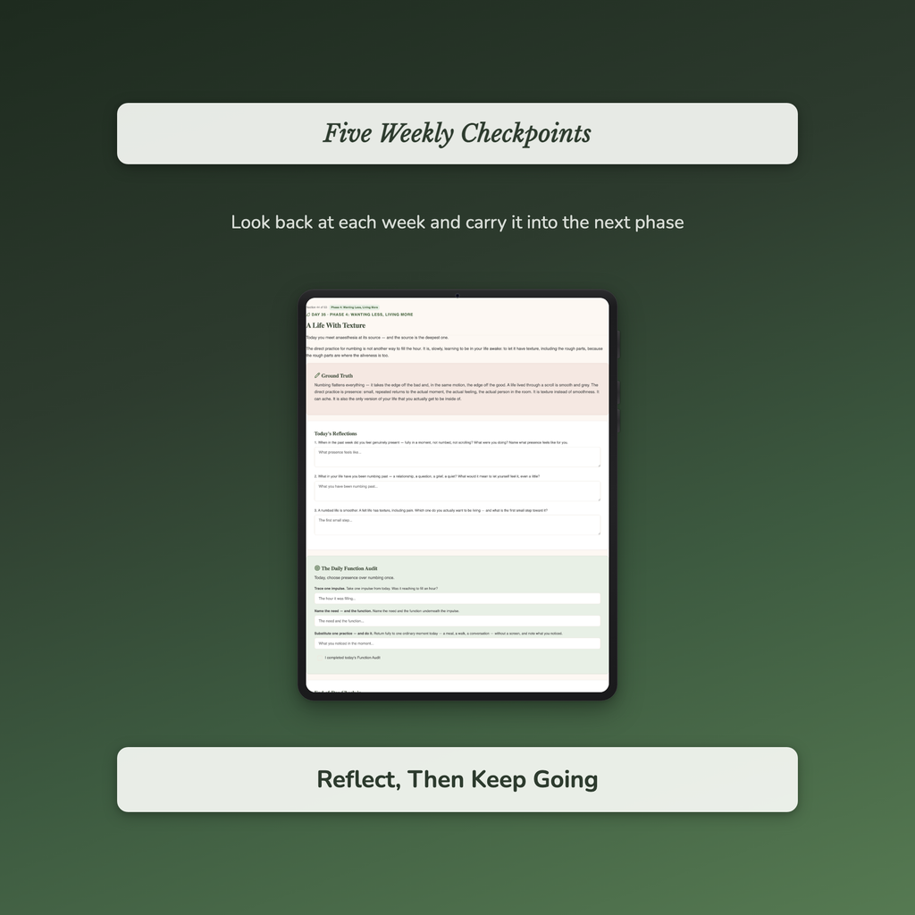 Overspending Workbook & 40-Day Journal – Intentional Living – Interactive Digital Guide
