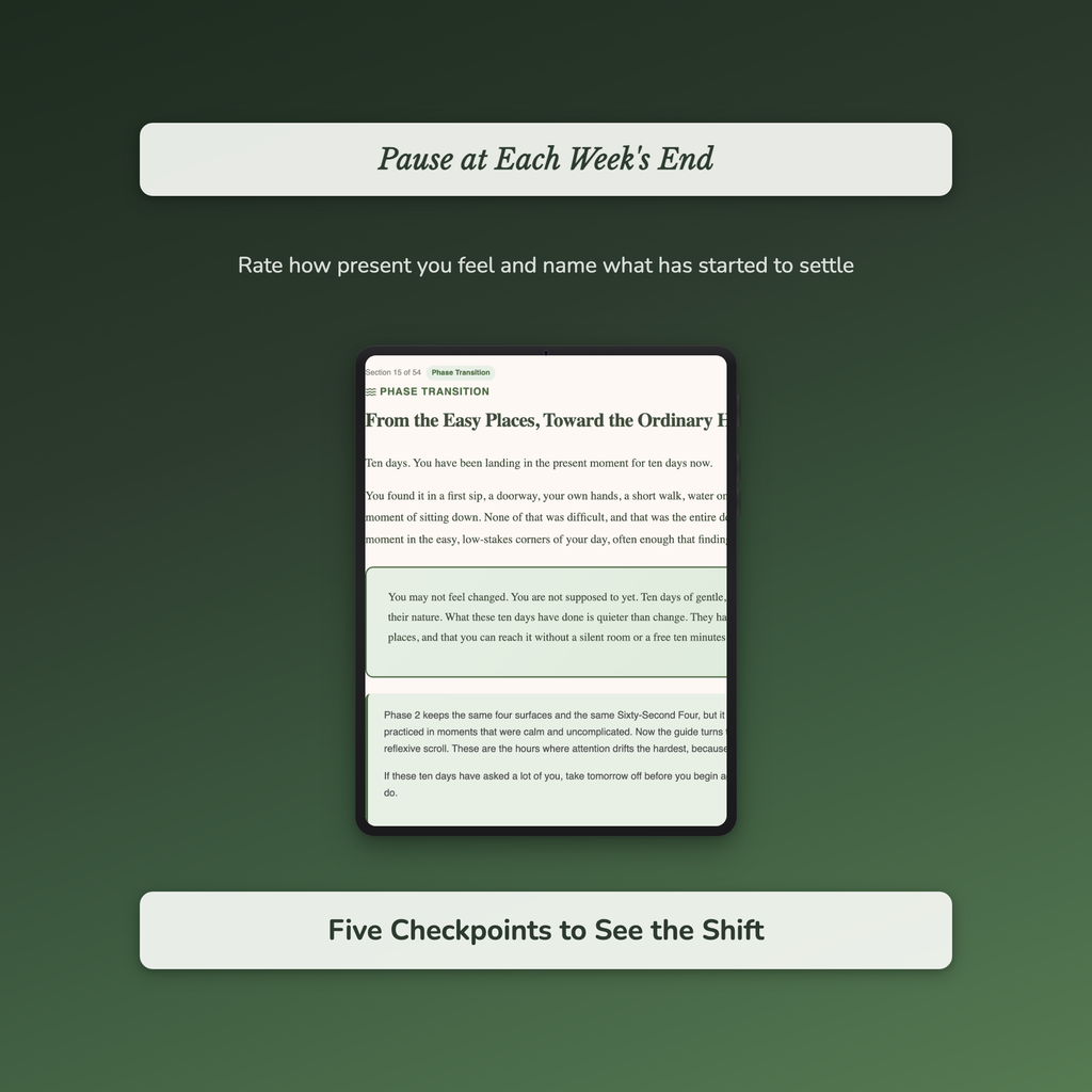 Mindfulness Workbook & 40-Day Journal – Sixty-Second Practice – Interactive Digital Guide