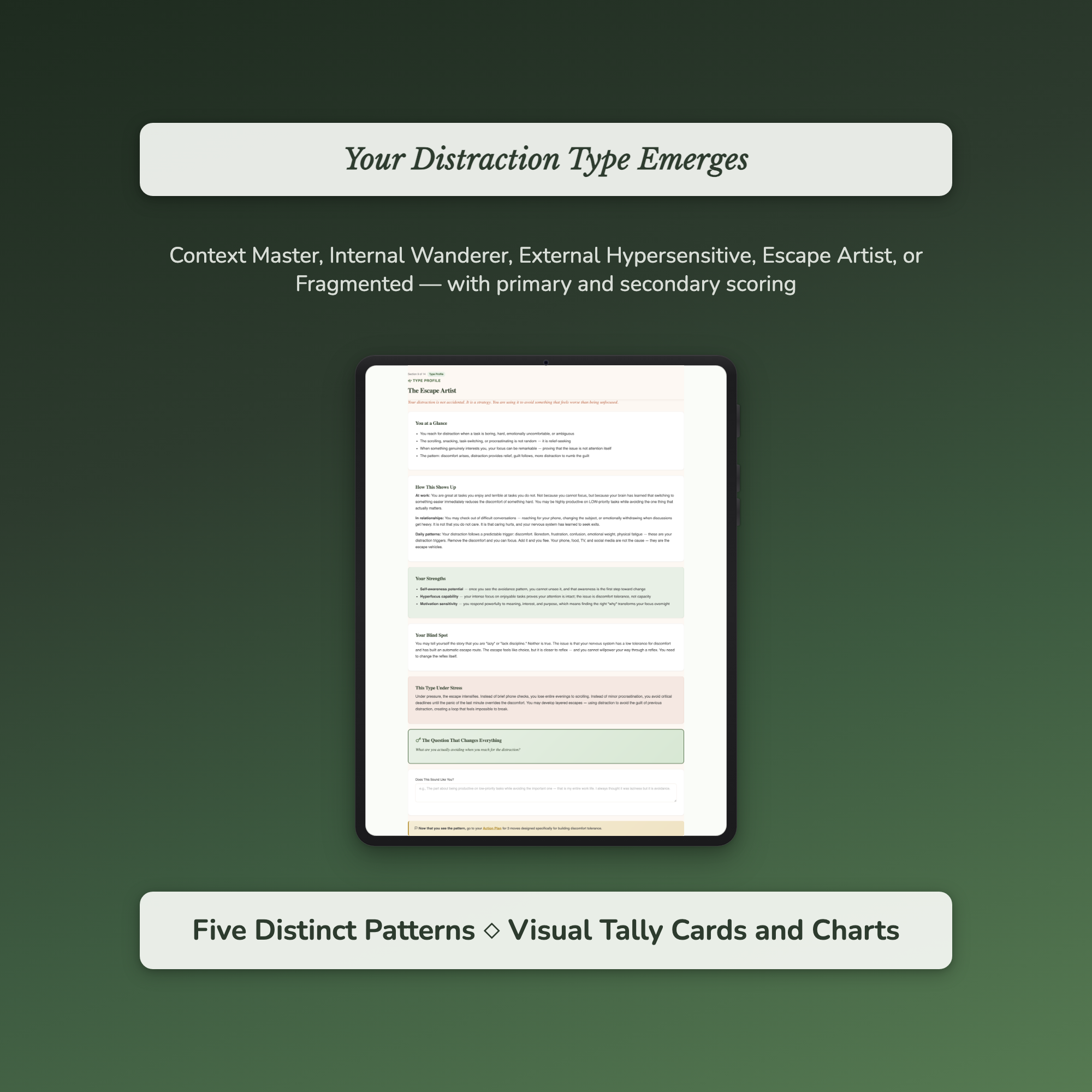 Distraction Type Profile — sample auto-scoring quiz
