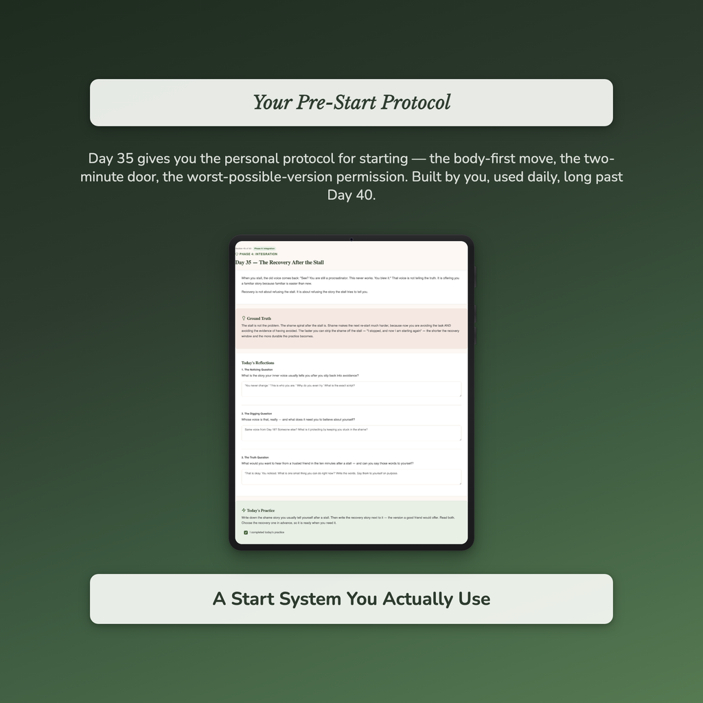 Procrastination Workbook & 40-Day Guide — sample profile or chart