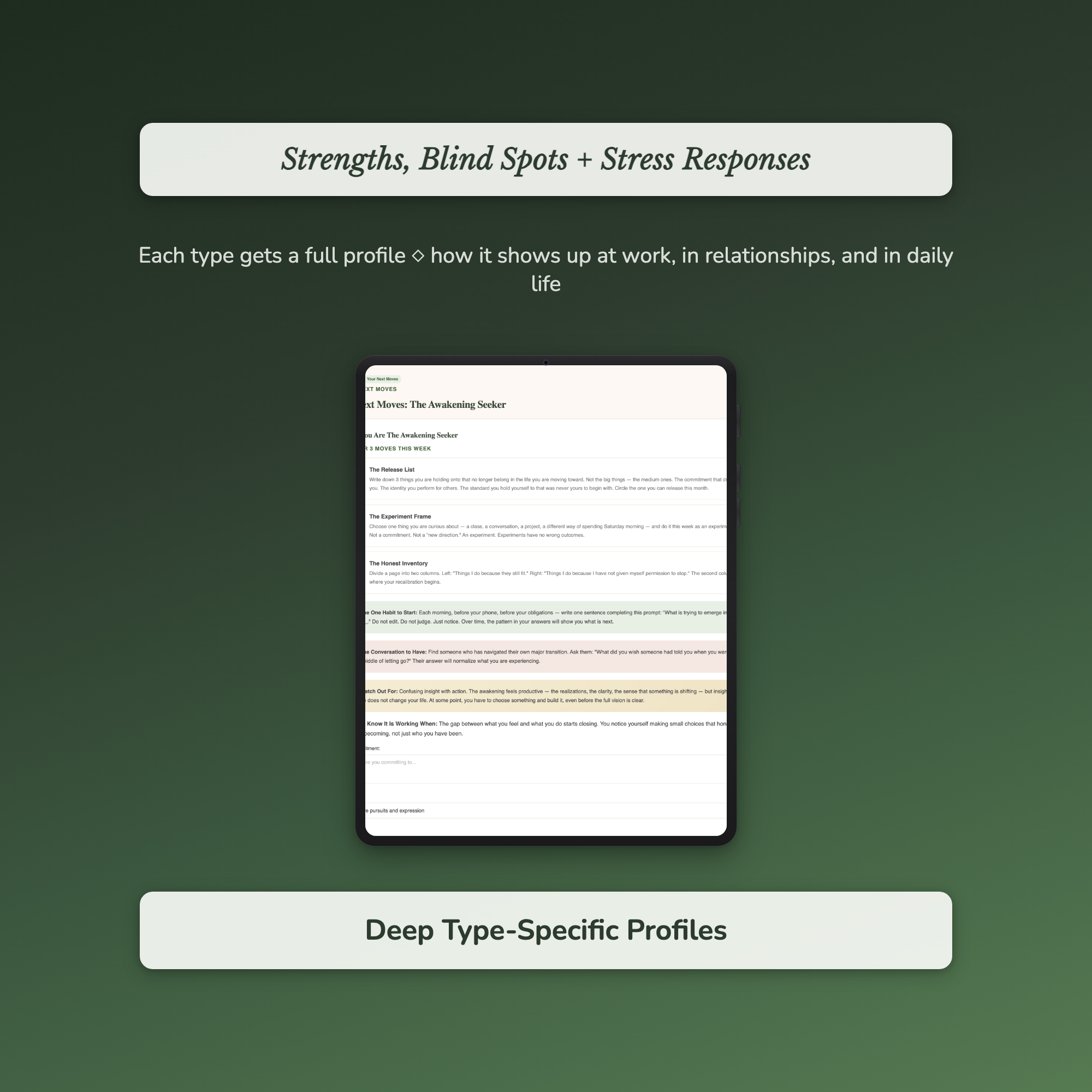 Midlife Clarity Profile — sample profile or chart