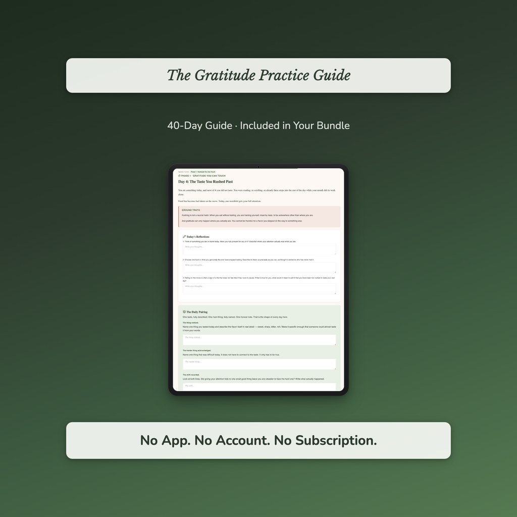 Spiritual Practice Bundle – Gratitude Presence Meditation 7 Tools – Interactive Digital Bundle