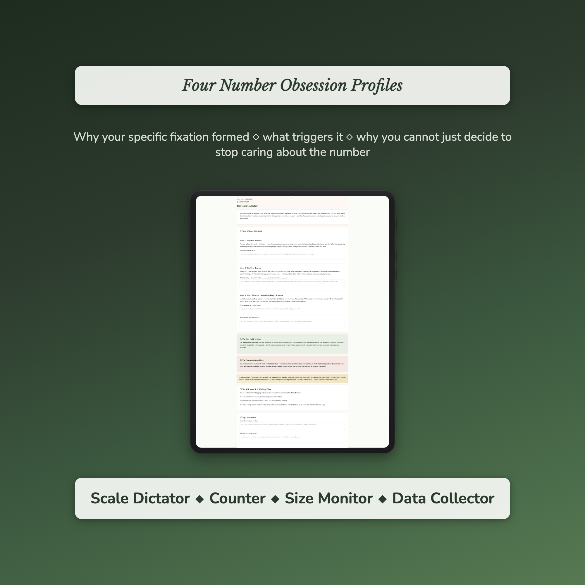 Number Obsession Profile — sample profile or chart